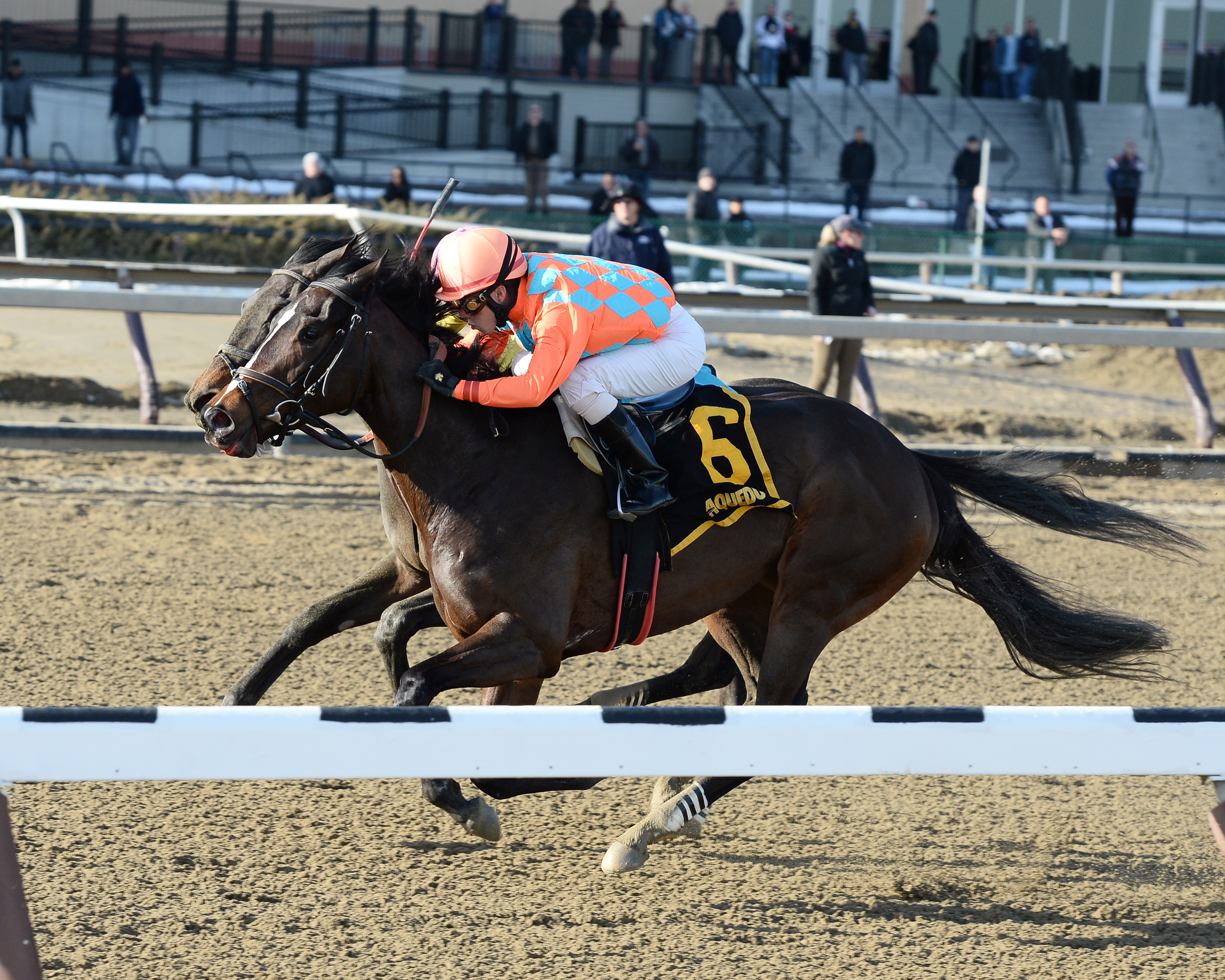 Frosty Margarita wins the Maddie May