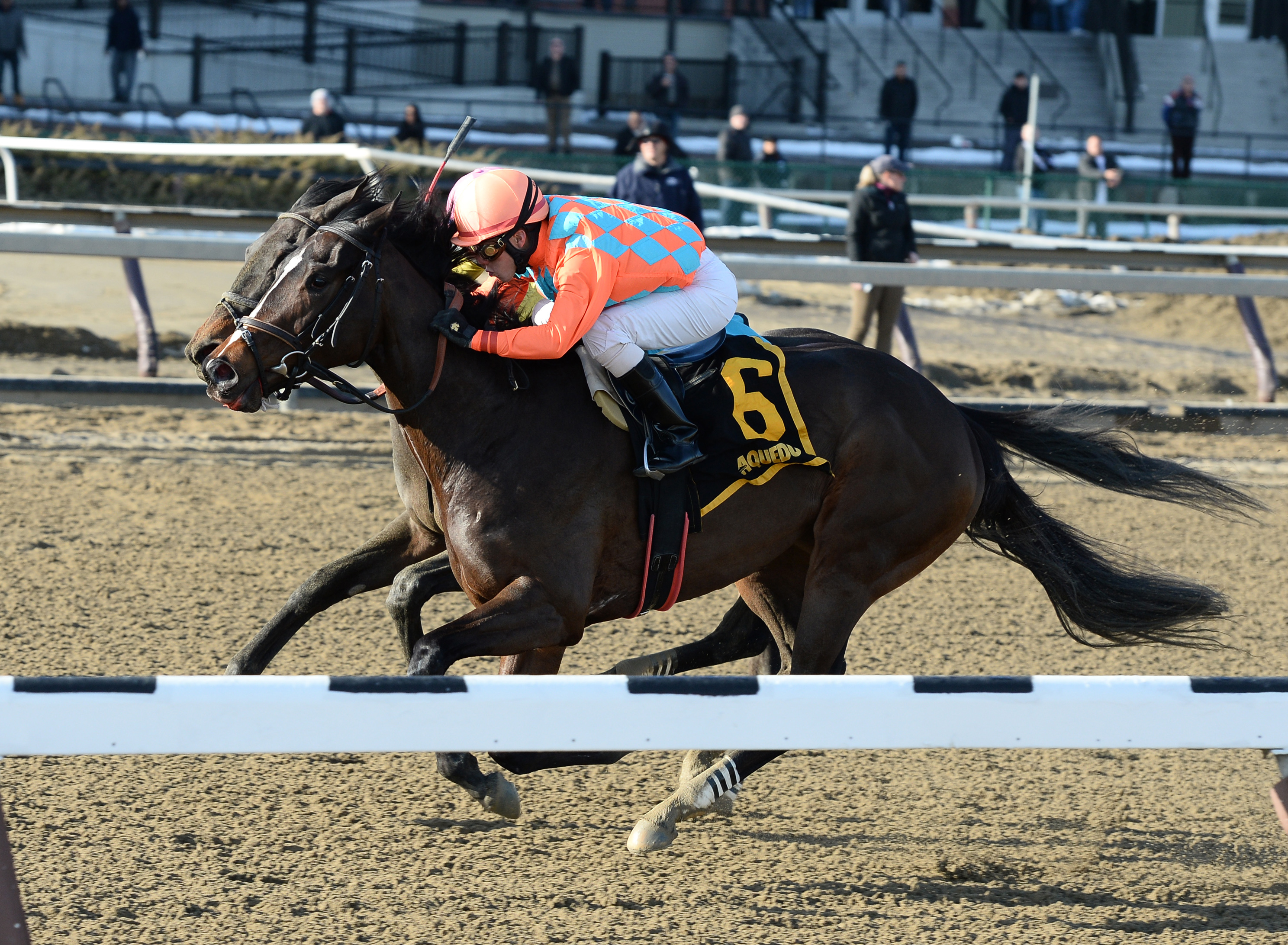 Frosty Margarita wins the 2016 Maddie May Stakes