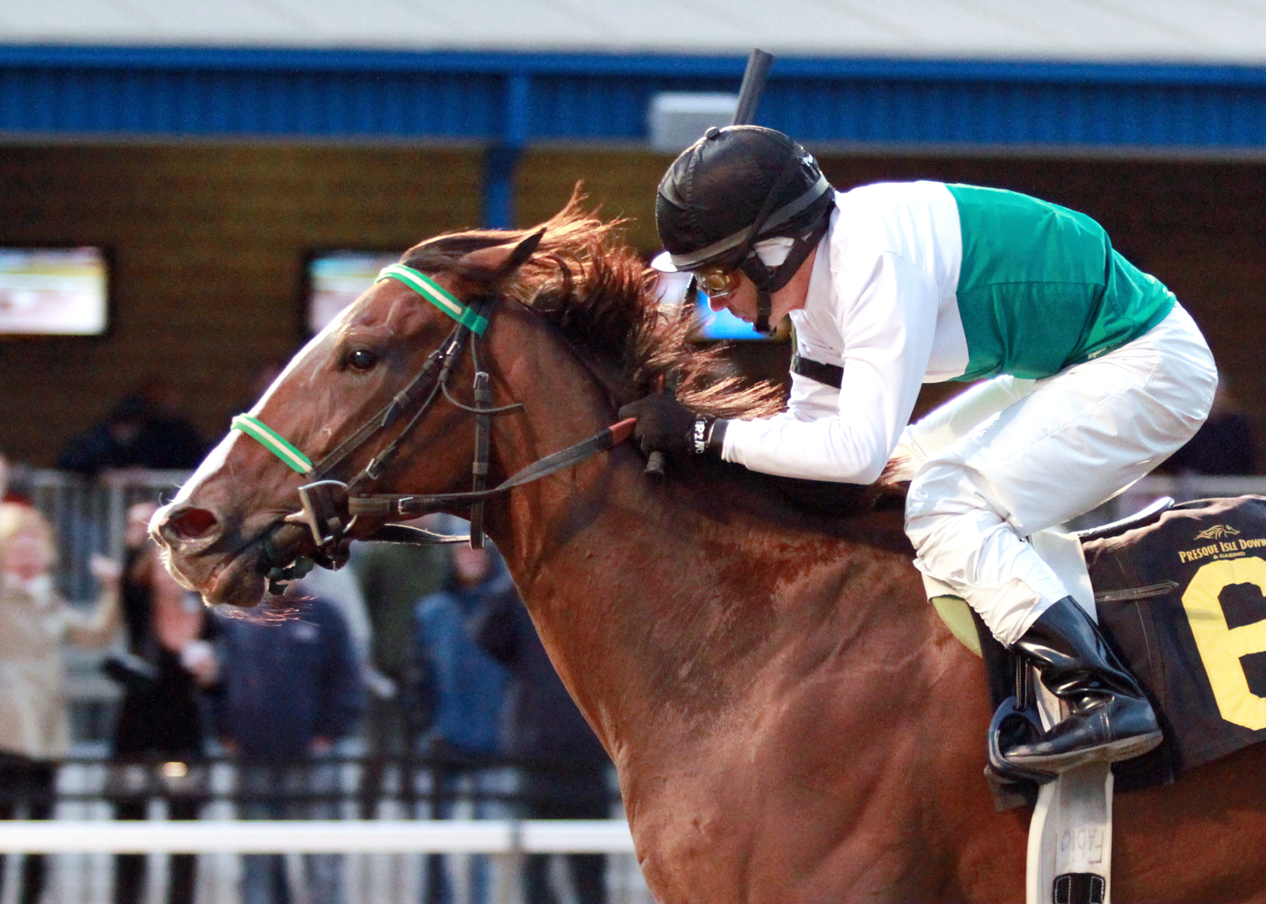 Fugitive Angel/HBPA Stakes