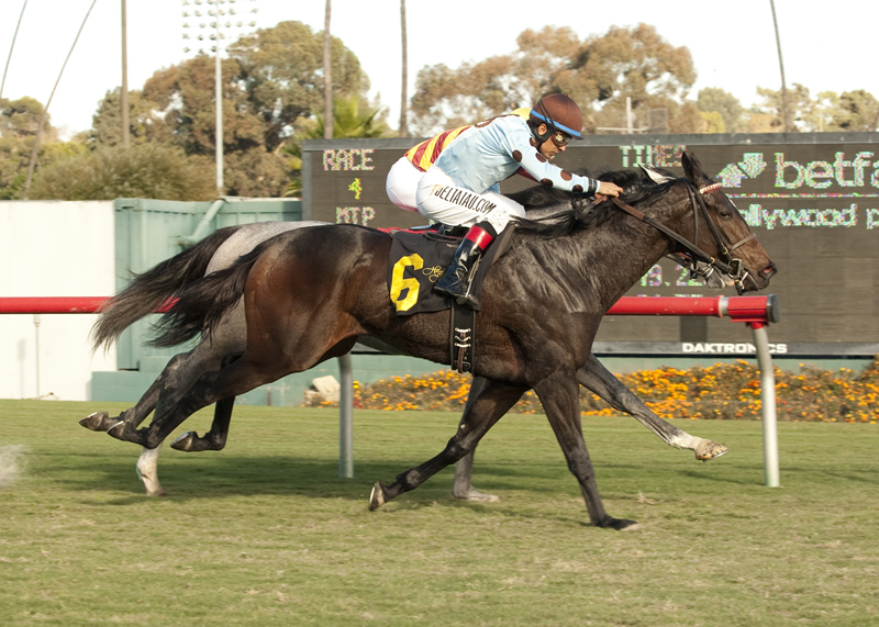 Full Ransom/Miesque