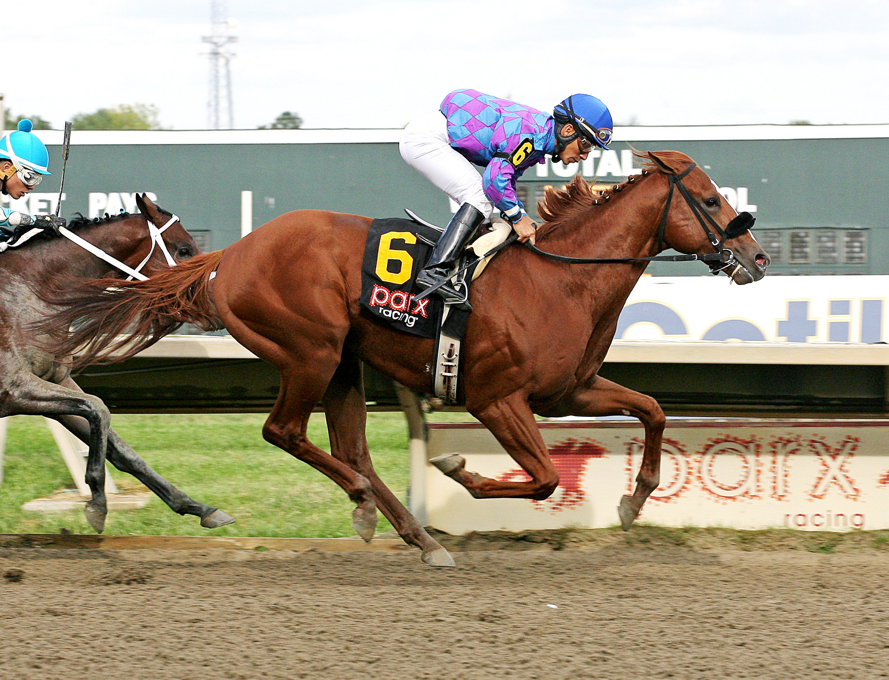 Full Salute wins the Hall of Fame Stakes