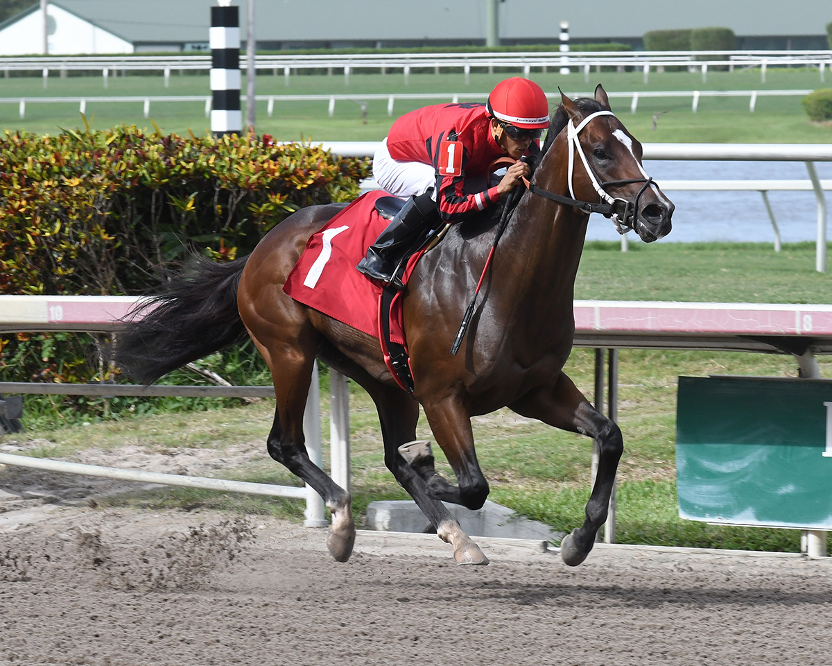 Fully Loaded wins a July 6 allowance race
