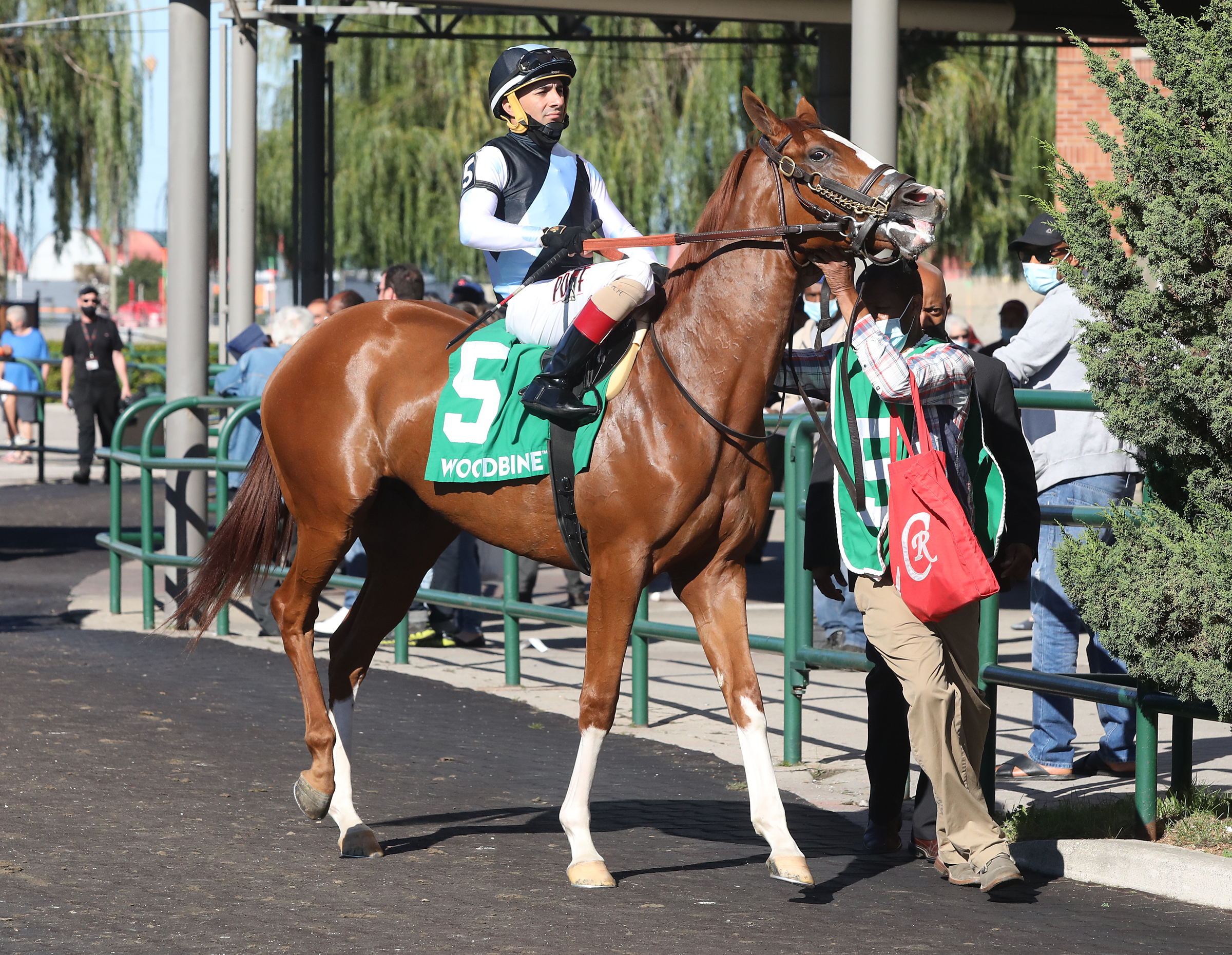 Fulminate at Woodbine.9-19-21