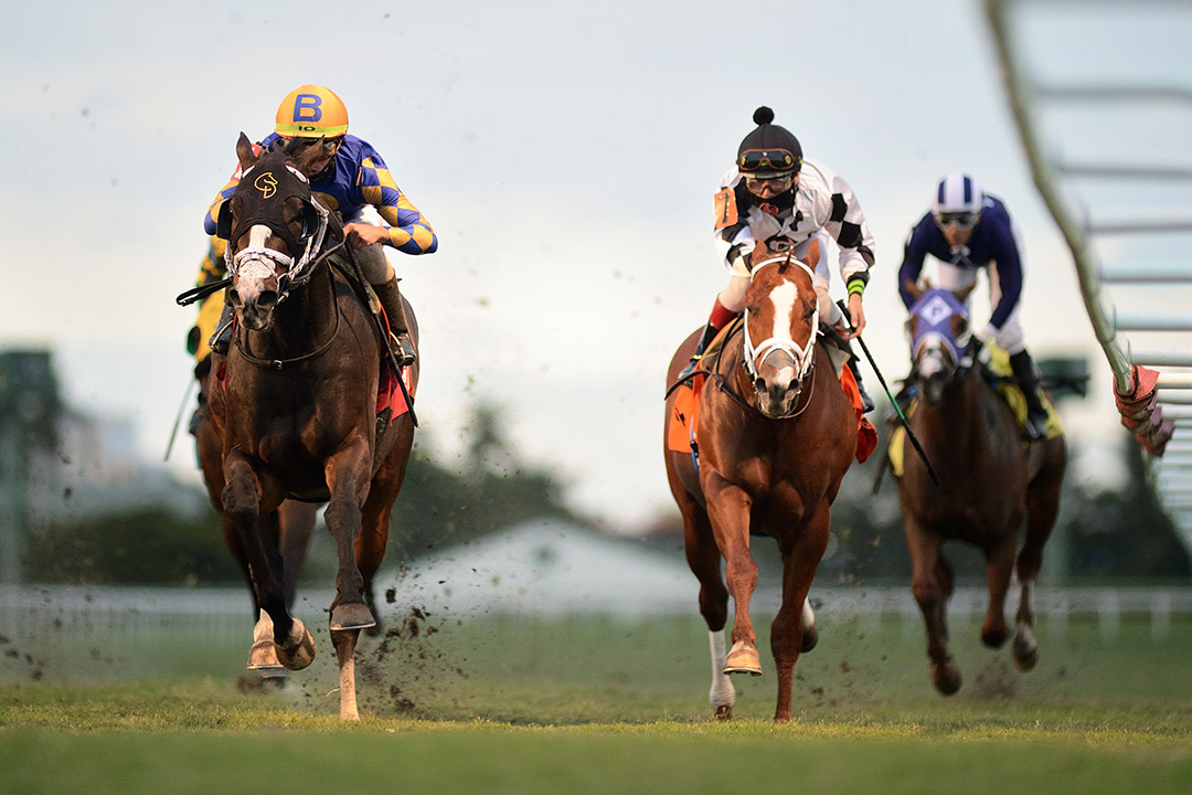 Fulmini (left) wins a Feb. 24 optional claiming race at Gulfstream Park