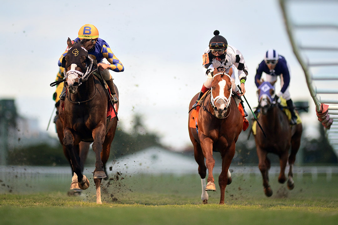 Fulmini wins a Feb. 24 allowance at Gulfstream Park