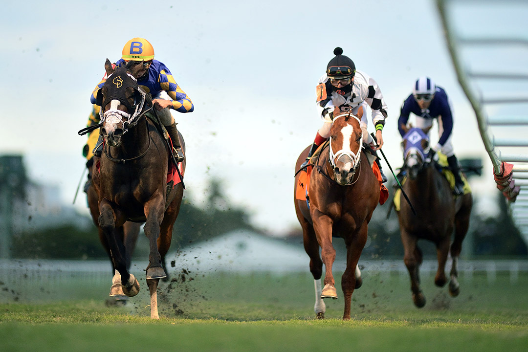 Fulmini wins a Feb. 24 allowance at Gulfstream Park