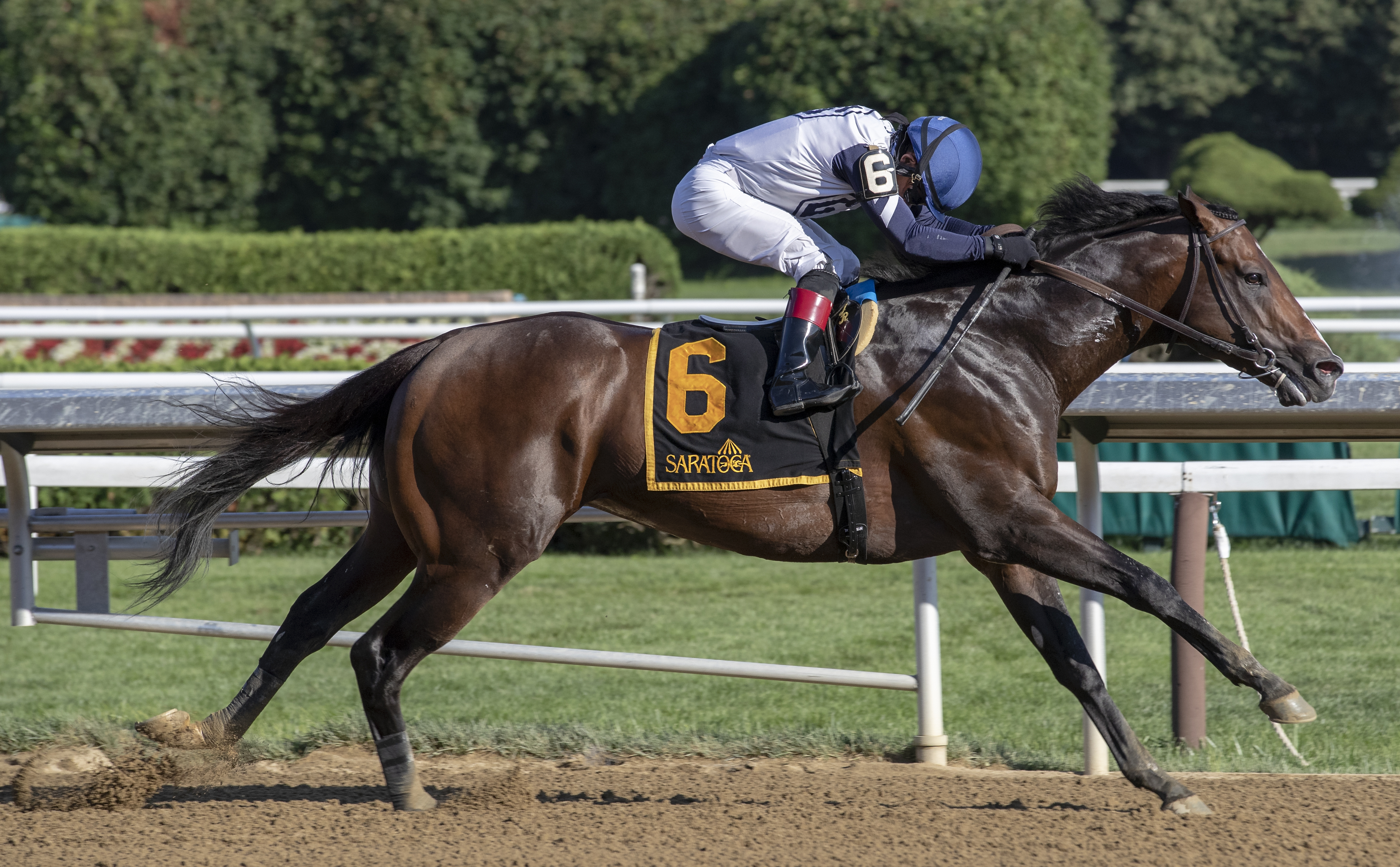 Funny Guy/John Morrissey