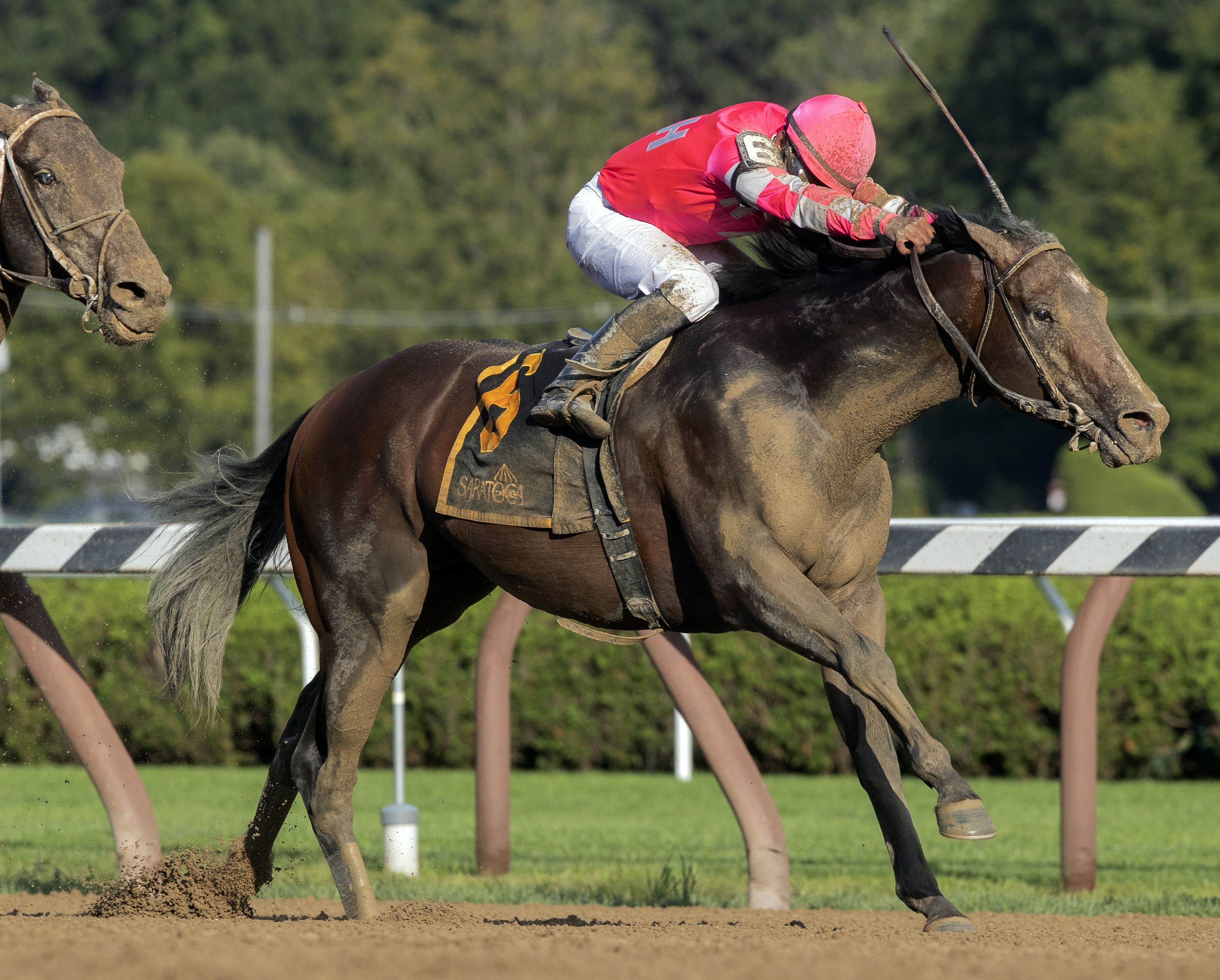 Funny Guy wins the 2019 Albany Stakes