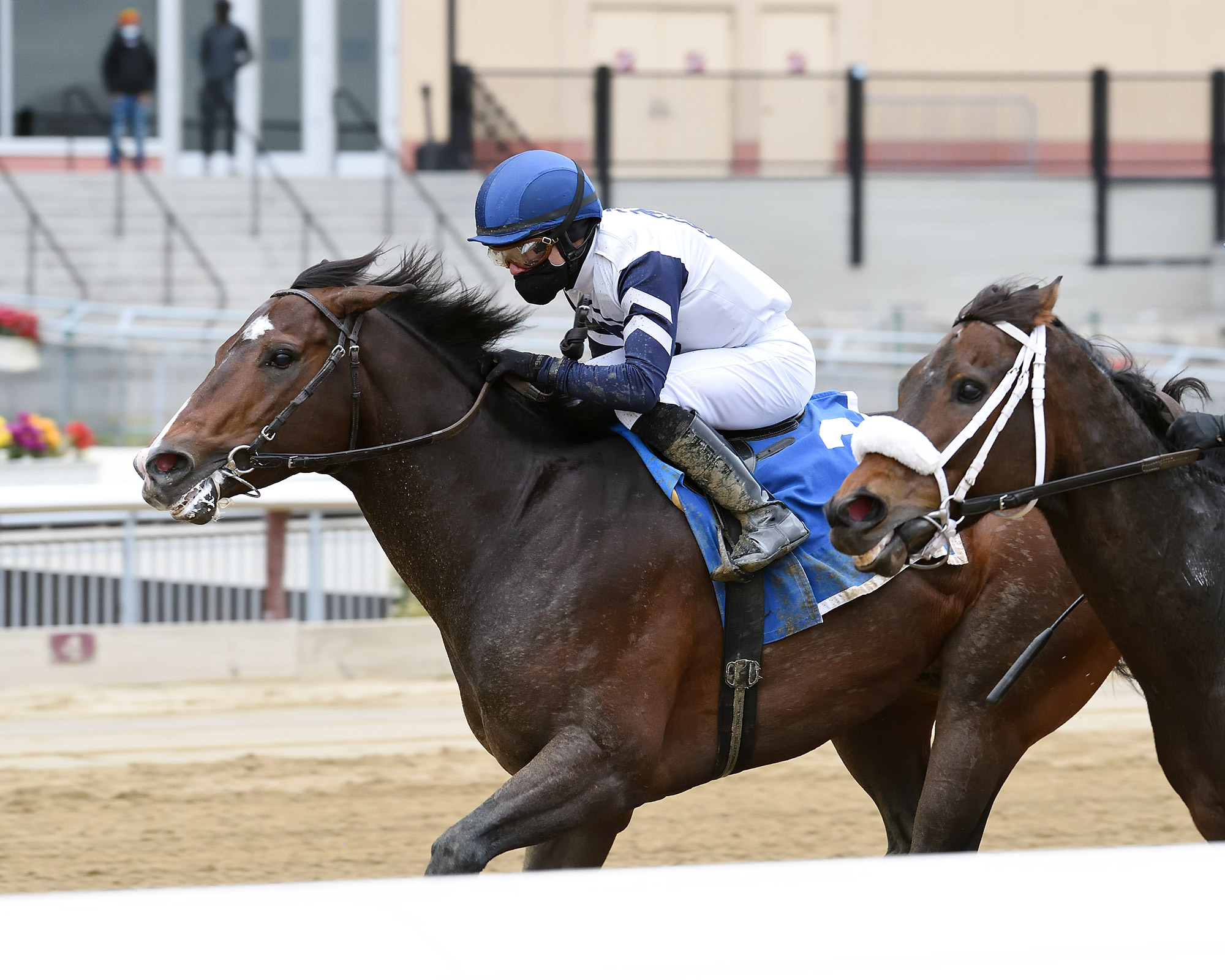 Funny Guy wins the 2020 Thunder Rumble at Aqueduct