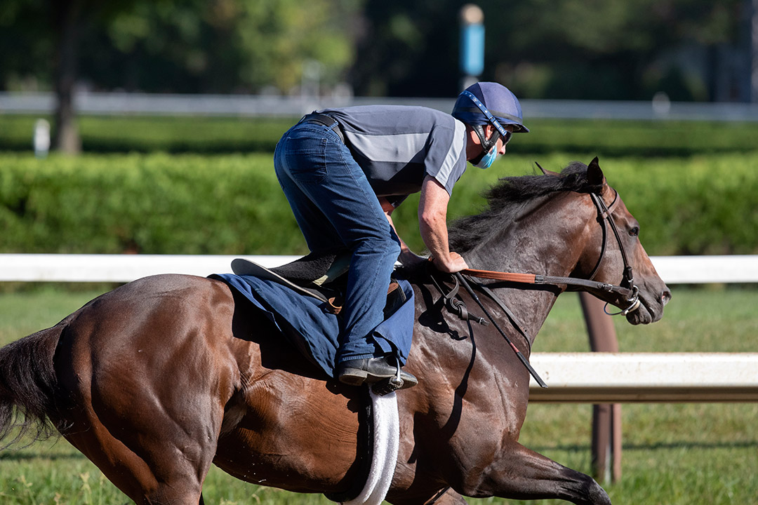Funny Guy trains at Saratoga in August 2020