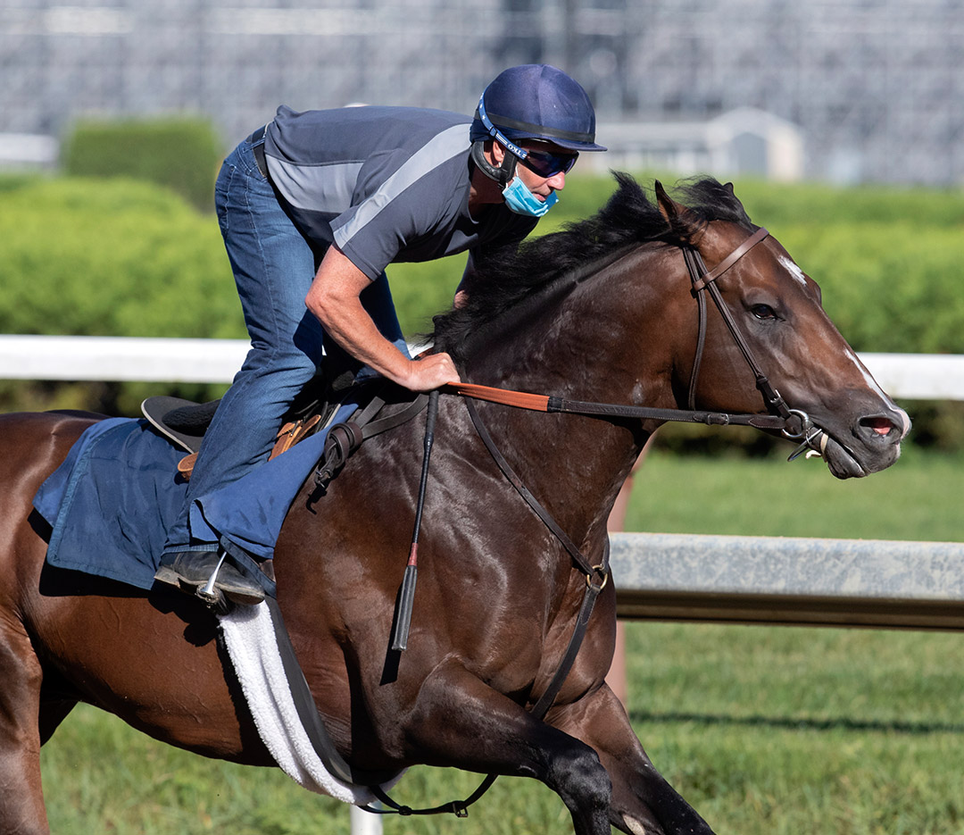 Funny Guy trains at Saratoga in August 2020
