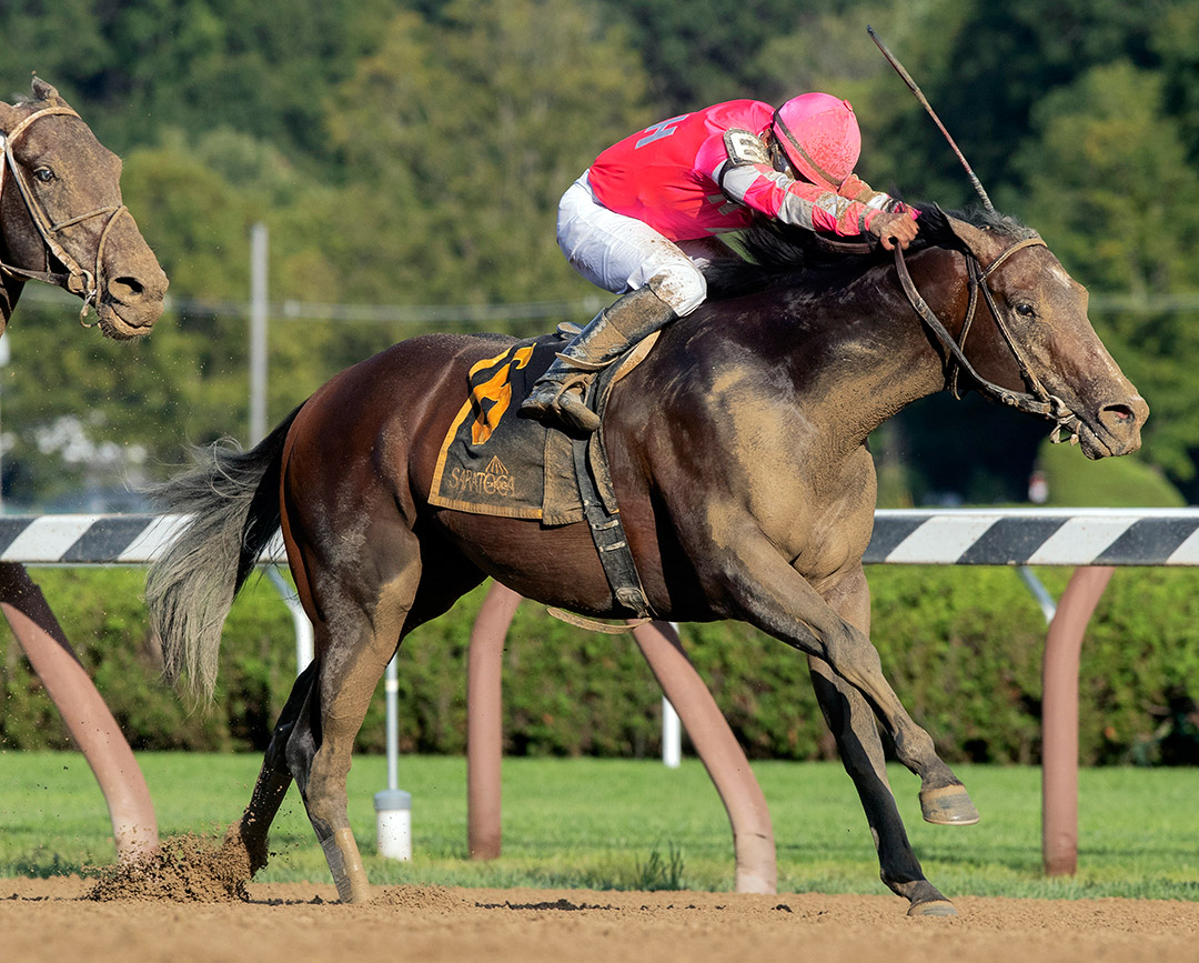Funny Guy wins the 2019 Albany Stakes at Saratoga