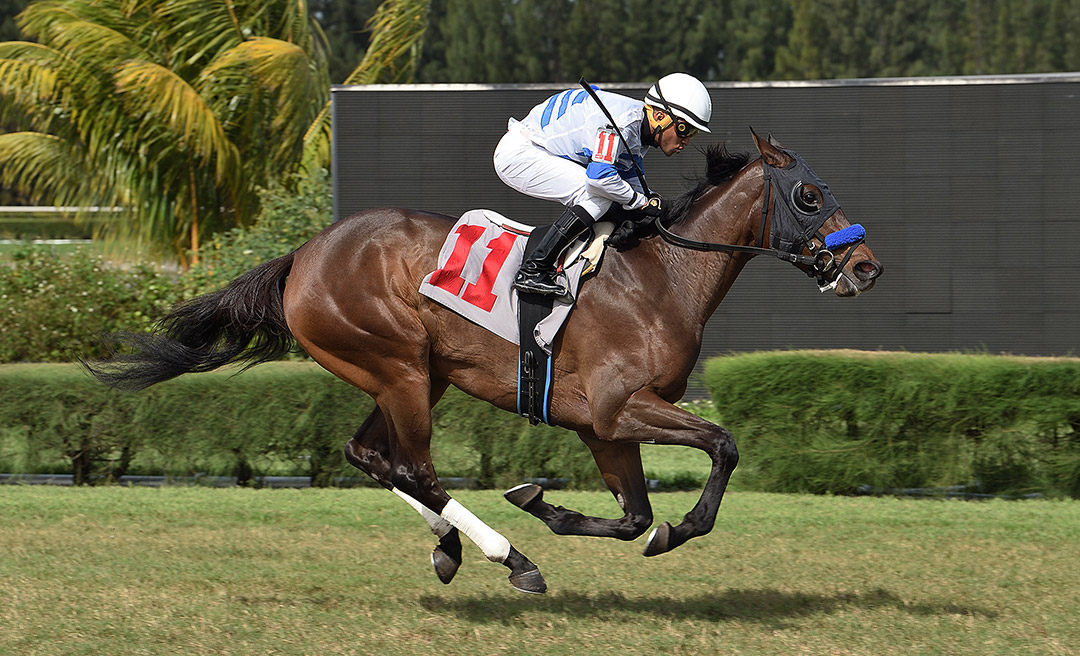 Funwhileitlasted wins a November 2020 maiden race at Gulfstream Park West