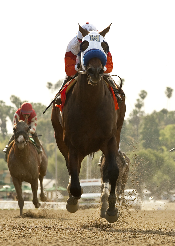 Fury Kapcori wins 2014 Precisionist