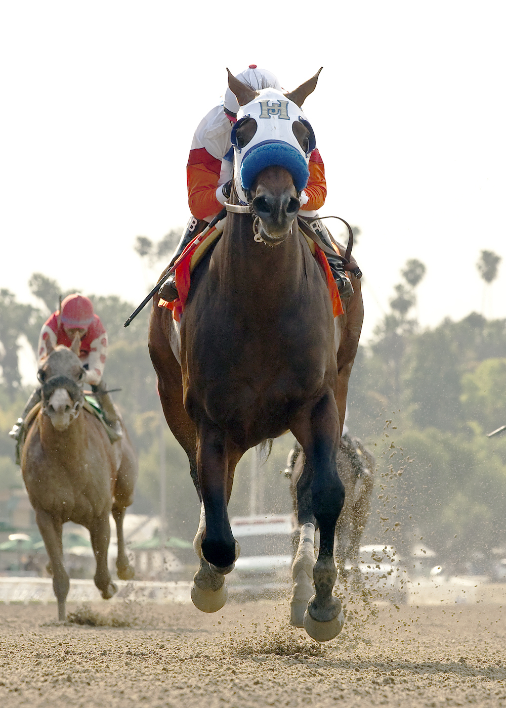 Fury Kapcori wins the Precisionist