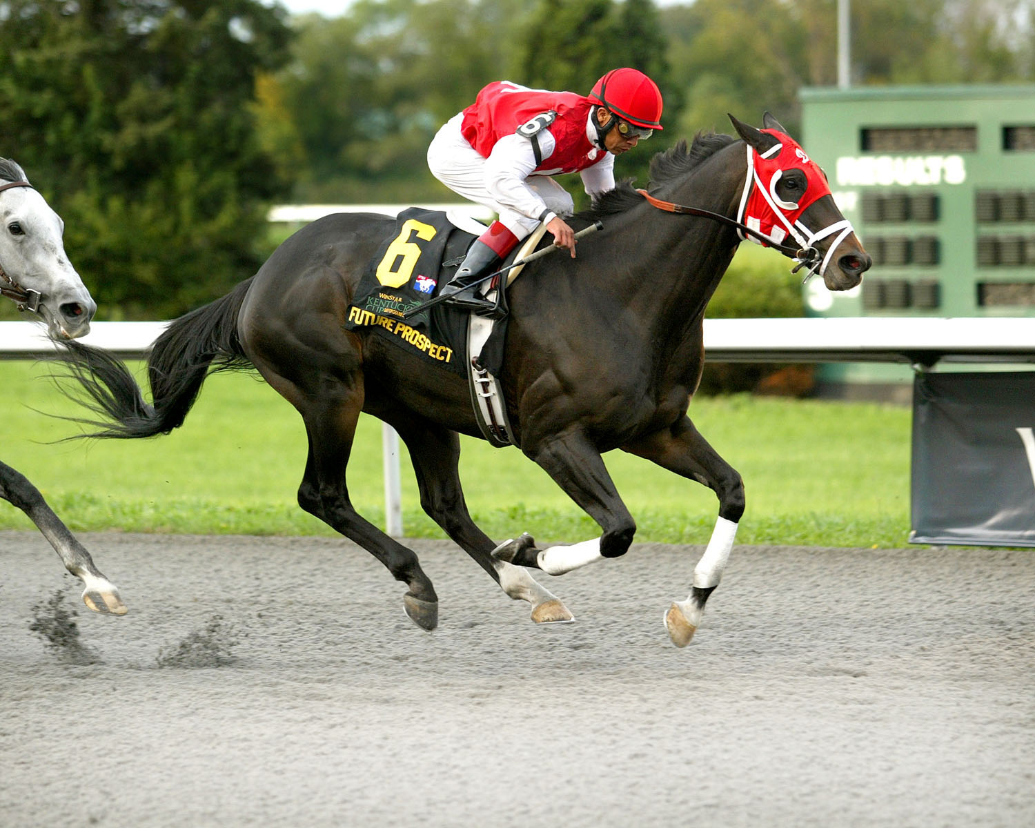 Future Prospect/WinStar Kentucky Cup