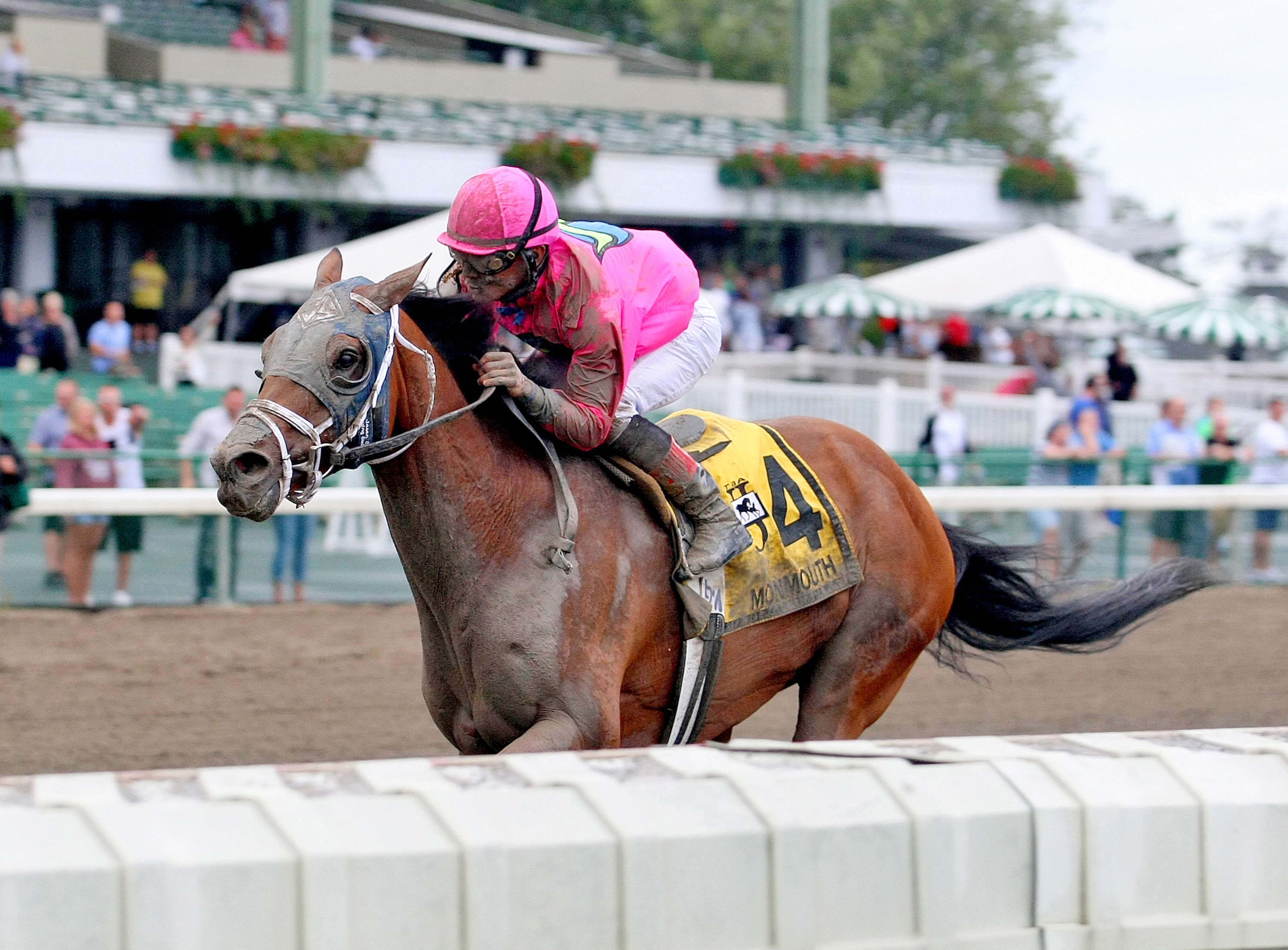 Fuzzy Muzzle wins the 2015 Charles Hesse III Handicap