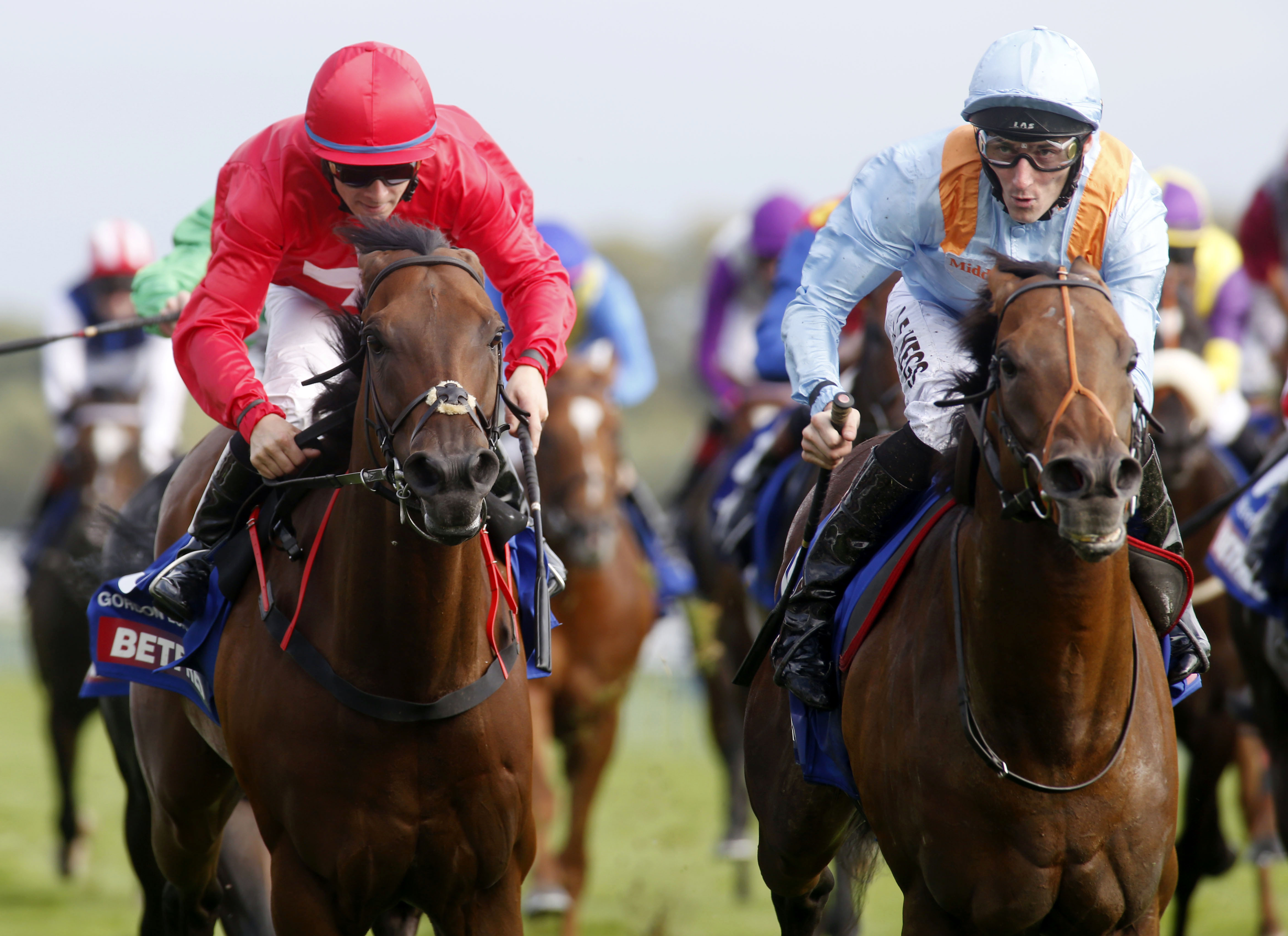 G Force wins the Sprint Cup