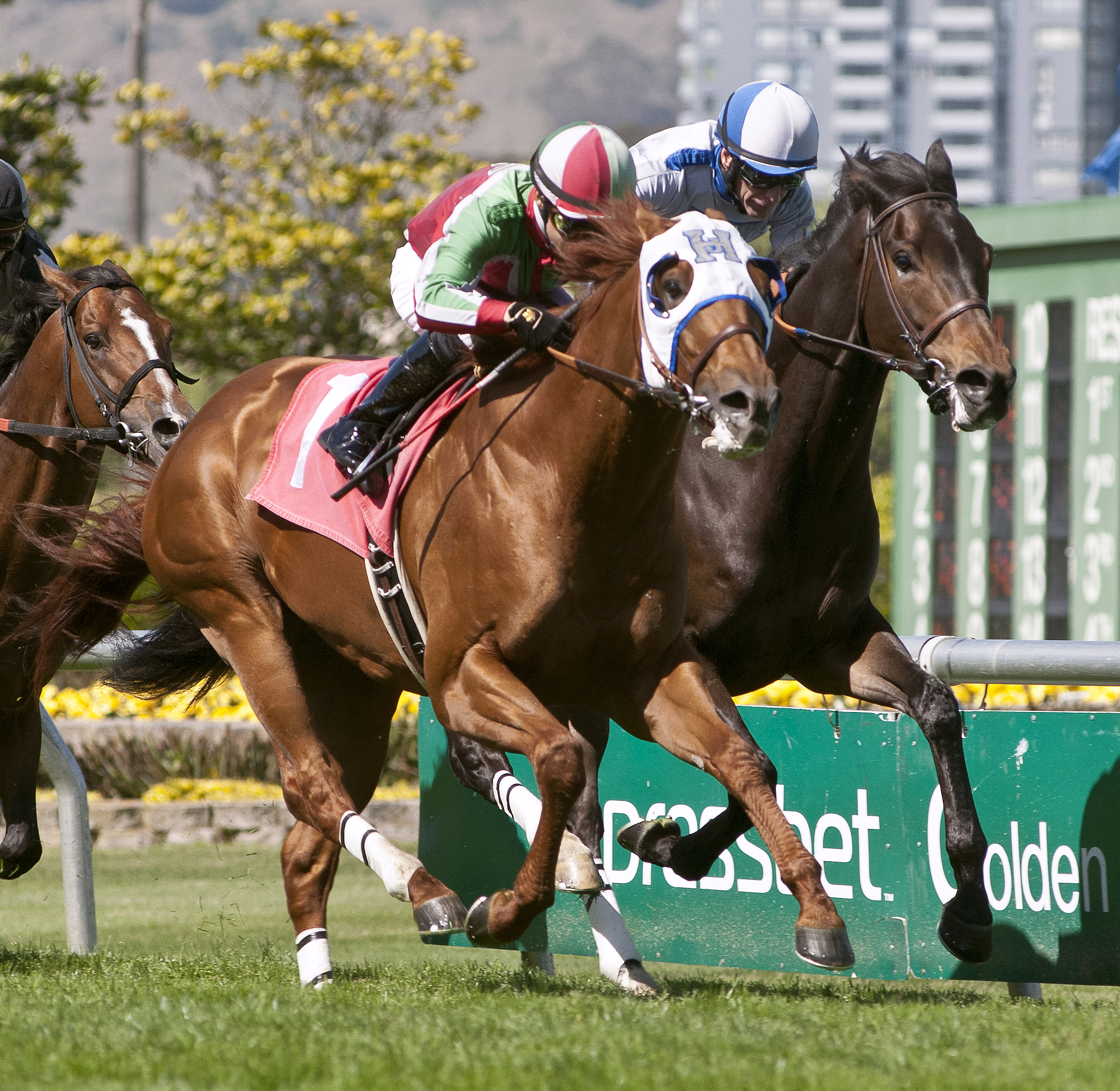 G. G. Ryder wins the San Francisco Mile