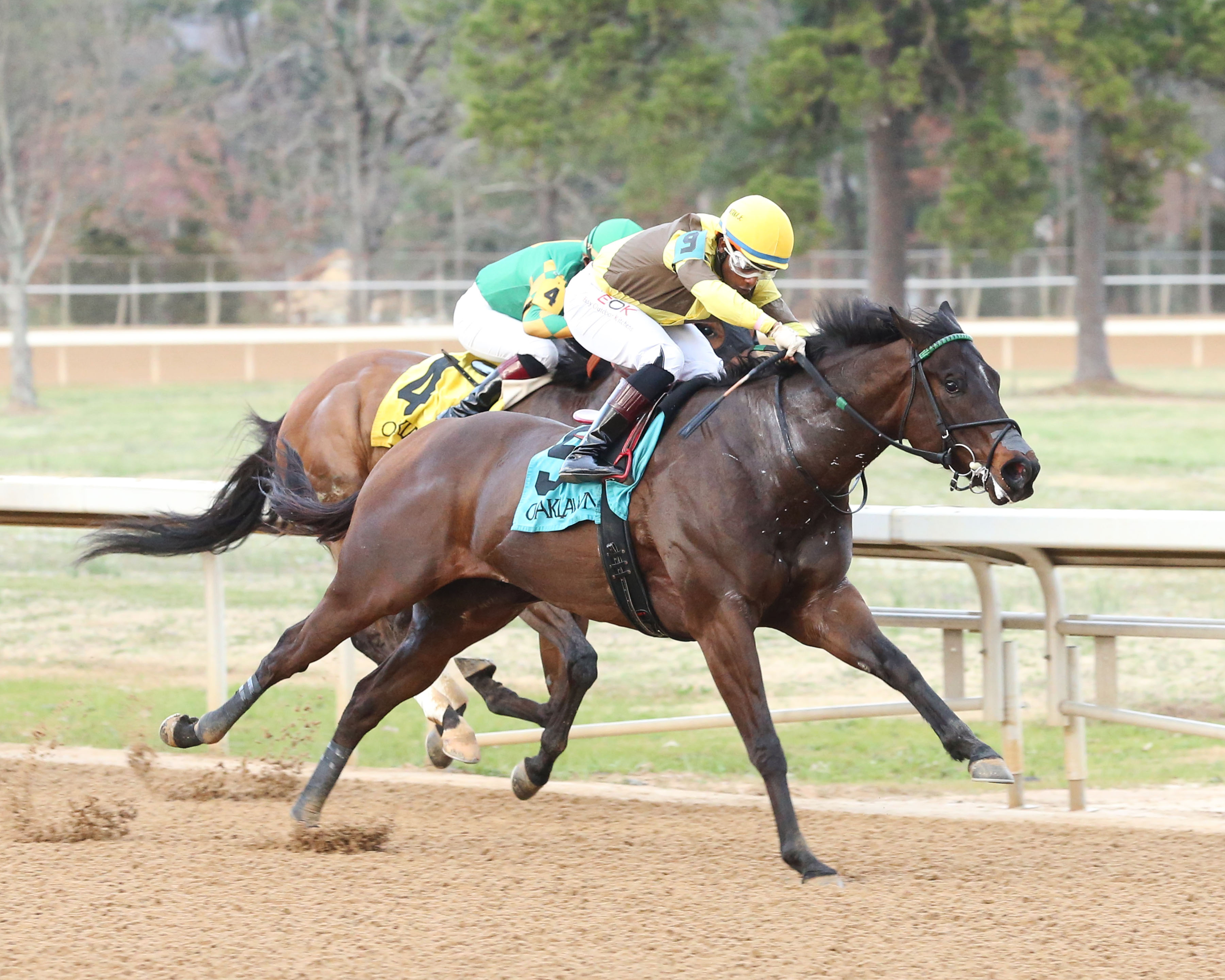Gar Hole wins the Nodouble 3-5-2022