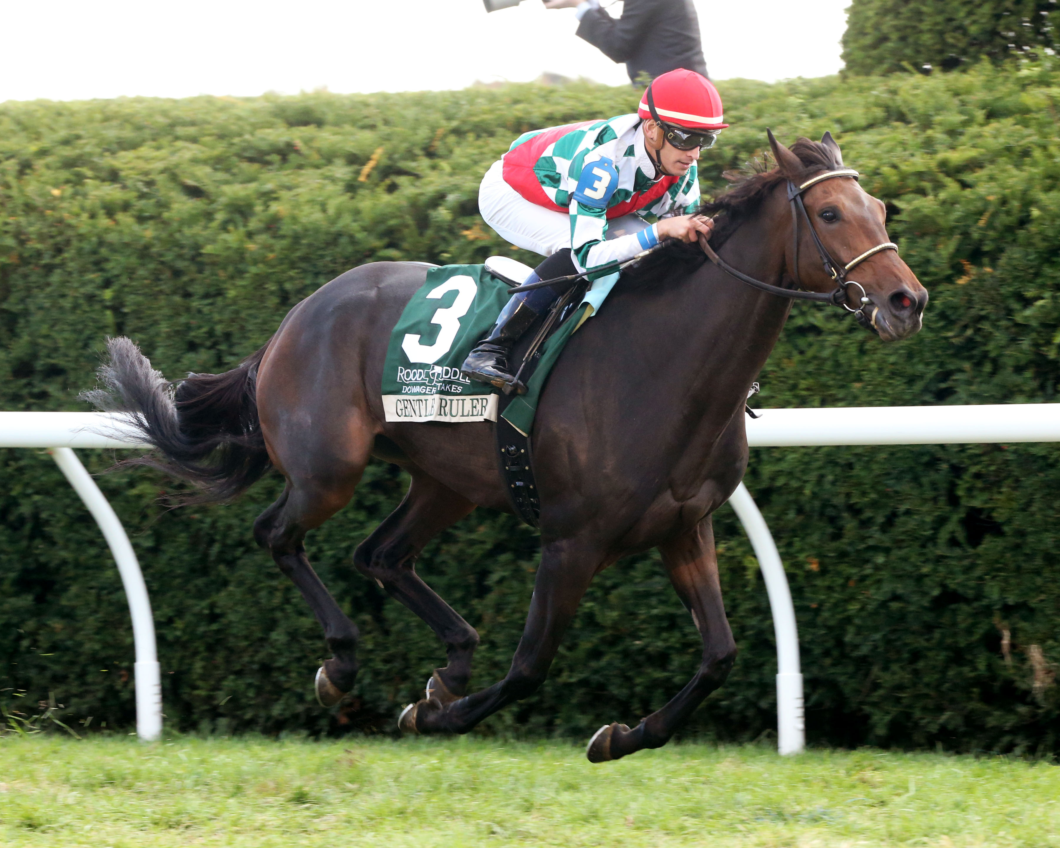 Gentle Ruler wins the 2019 Dowager Stakes