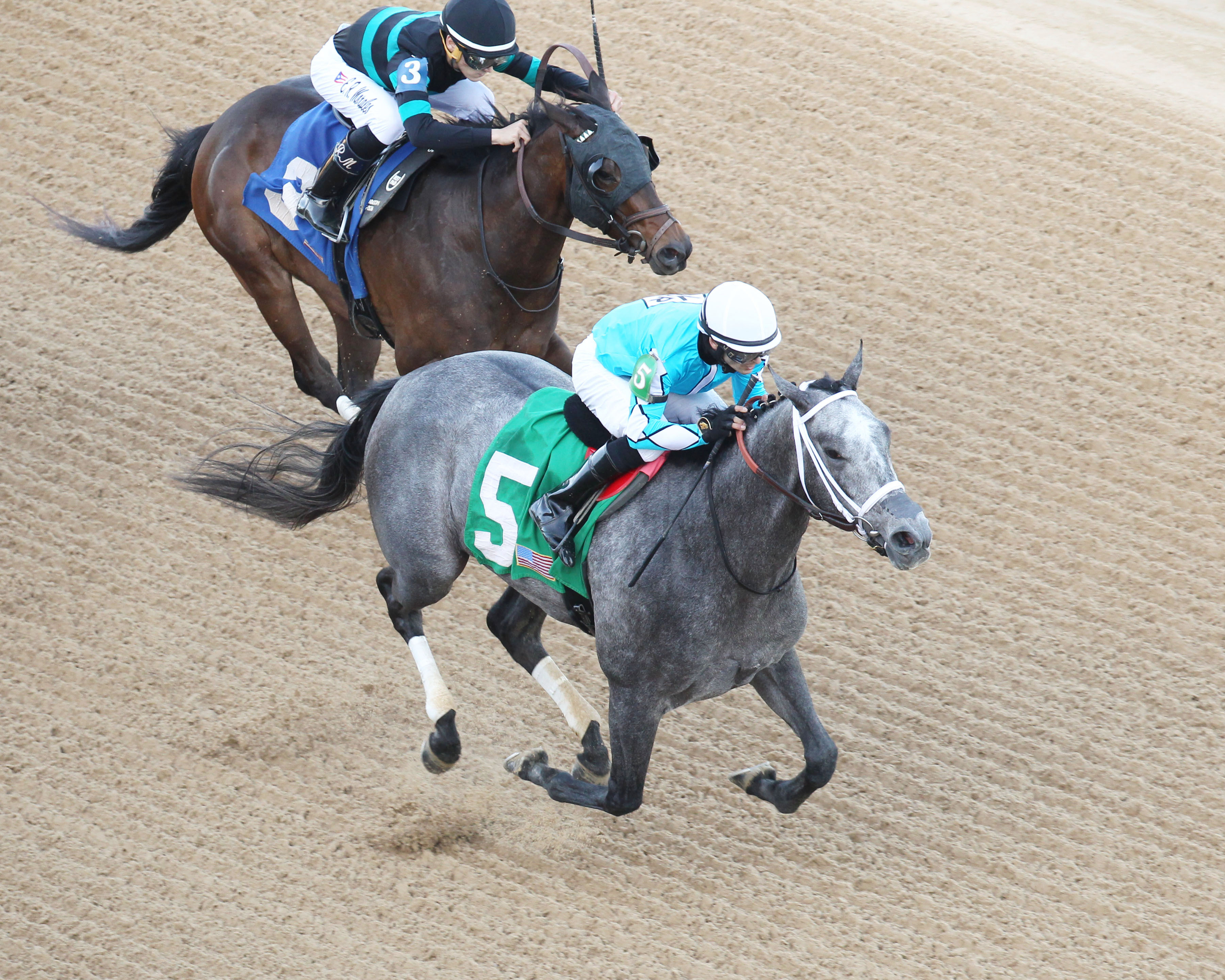 Georgia-s Reward wins the 2018 Rainbow Miss
