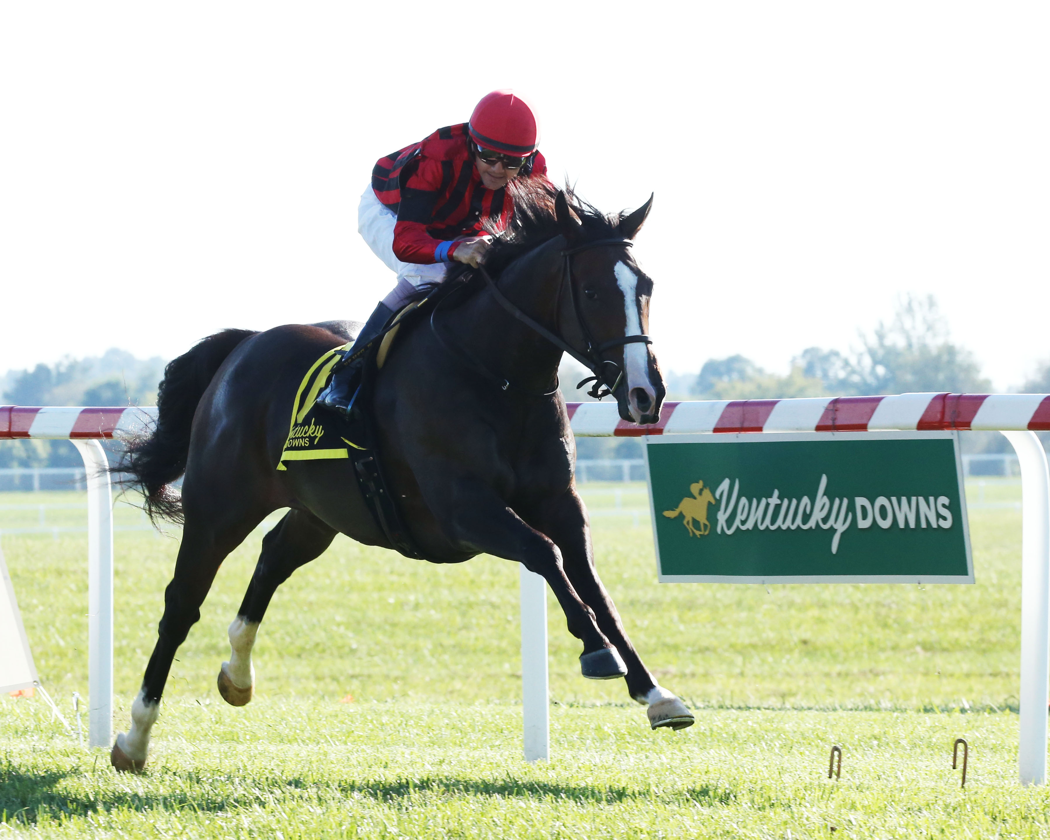 Get Western wins the 2019 Old Friends Stakes