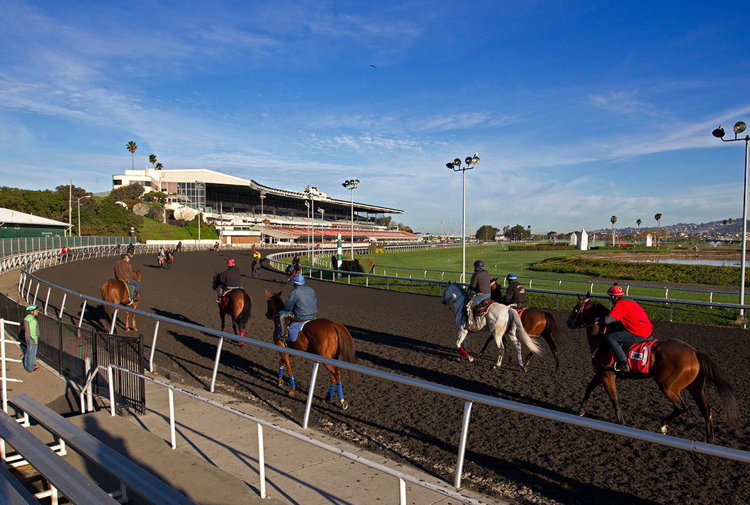 Golden Gate Fields, 2015