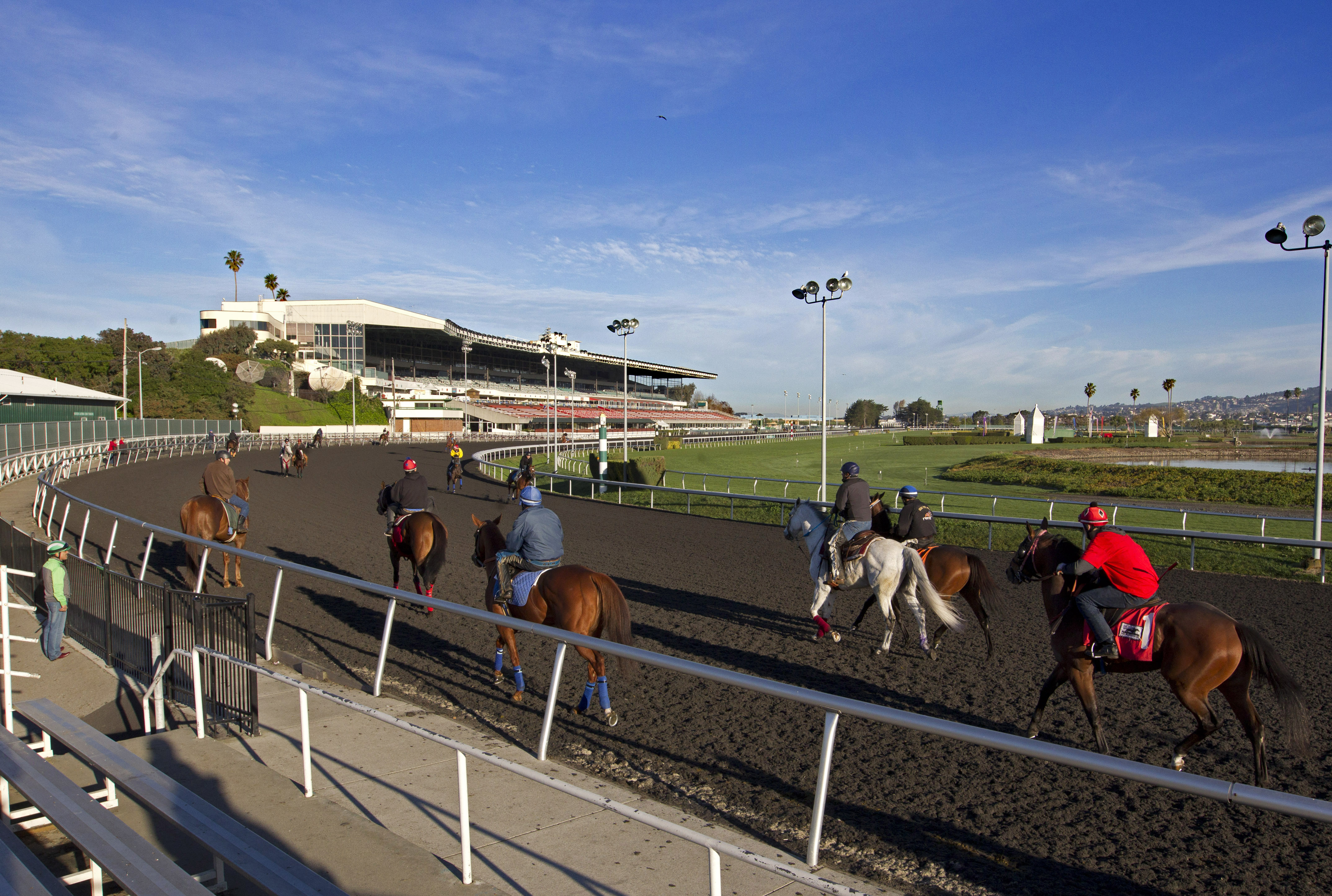 Golden Gate Fields training