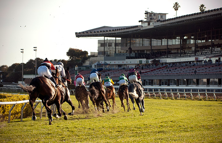 Golden Gate Fields turf racing