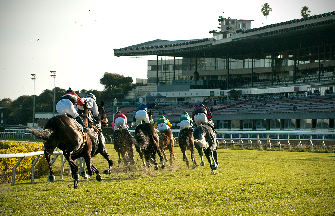 Golden Gate Fields turf racing
