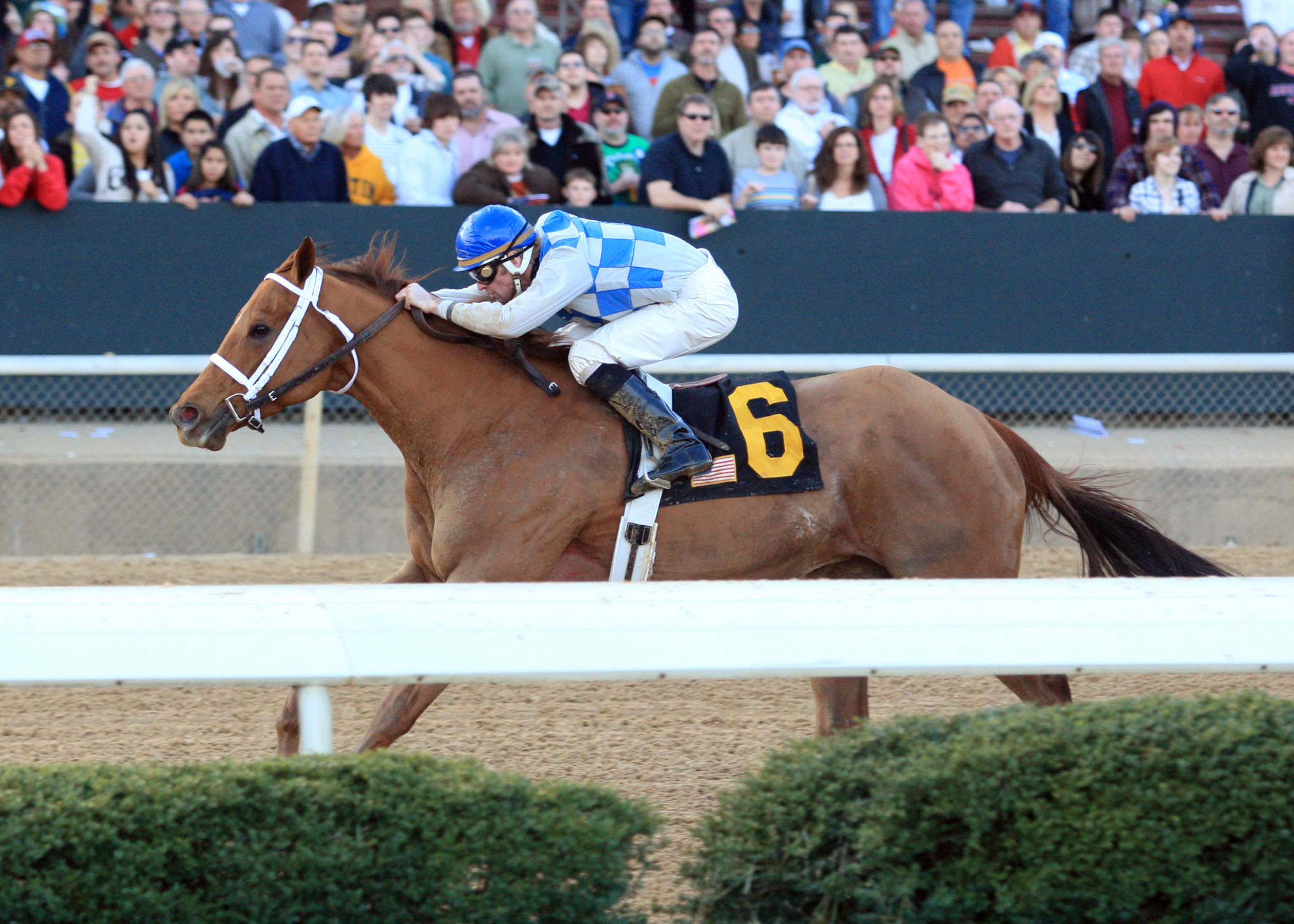 Gleaming 2-19-2012