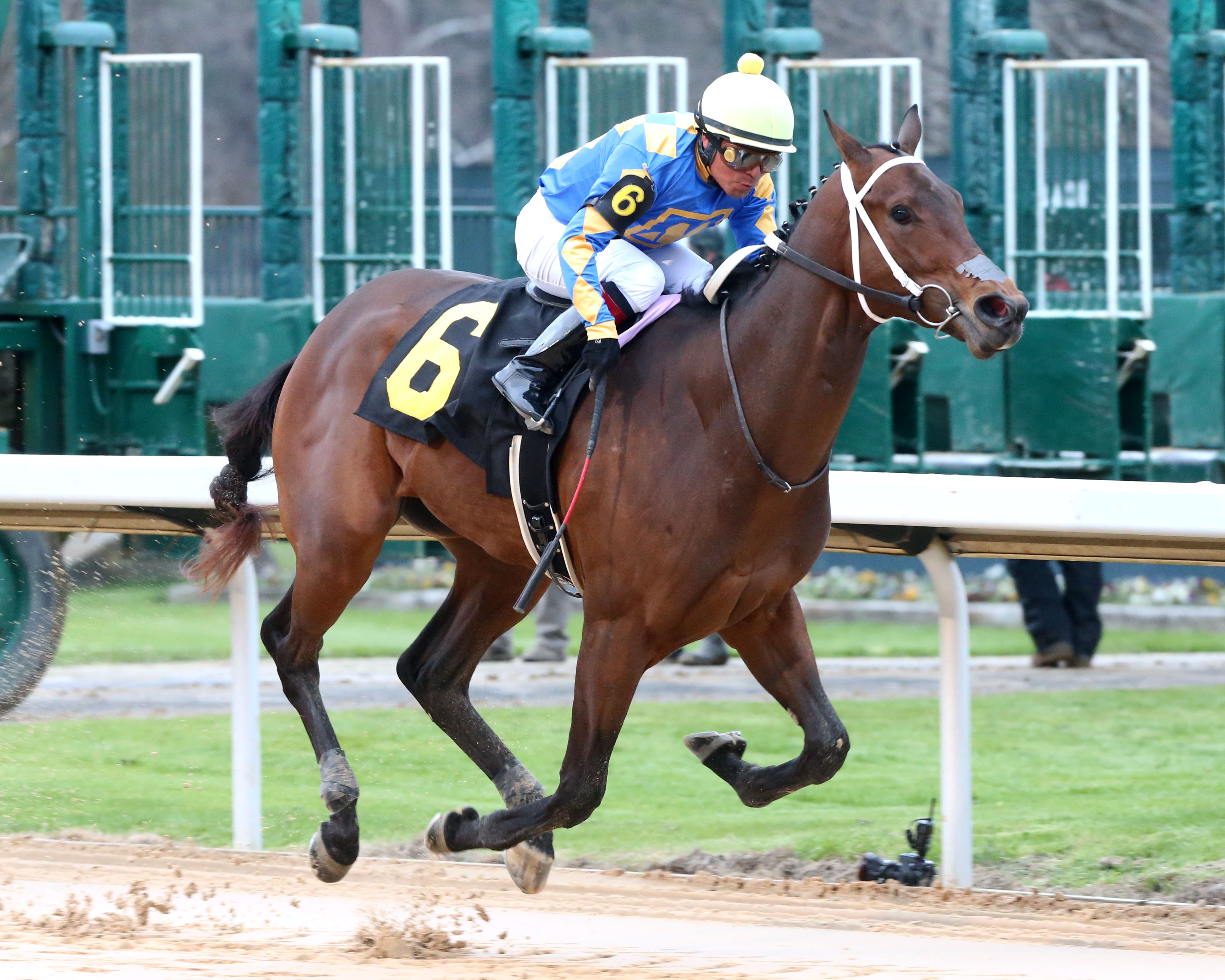 Gold Street wins the 2020 Smarty Jones Stakes