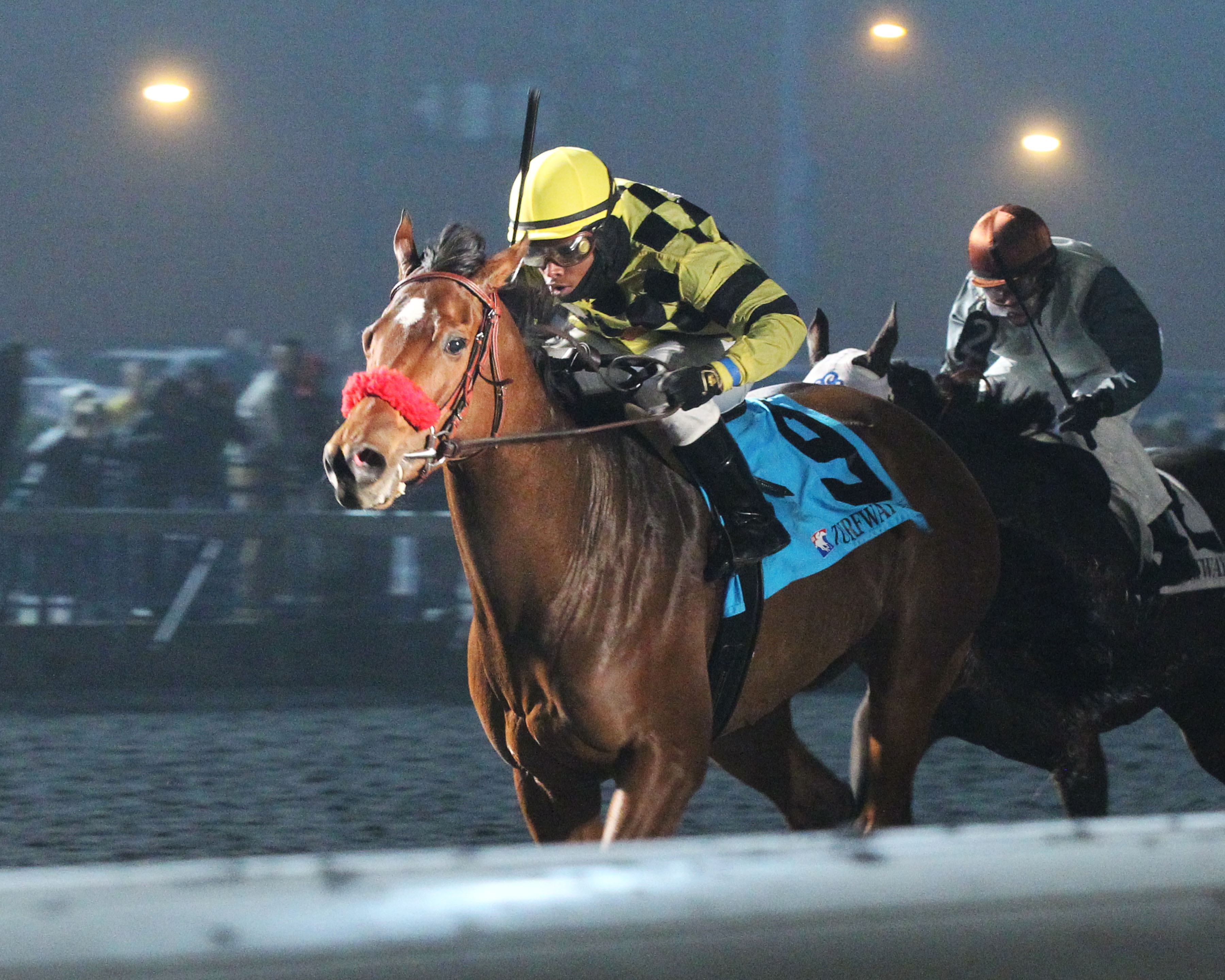 Goldberry wins 2018 Holiday Inaugural