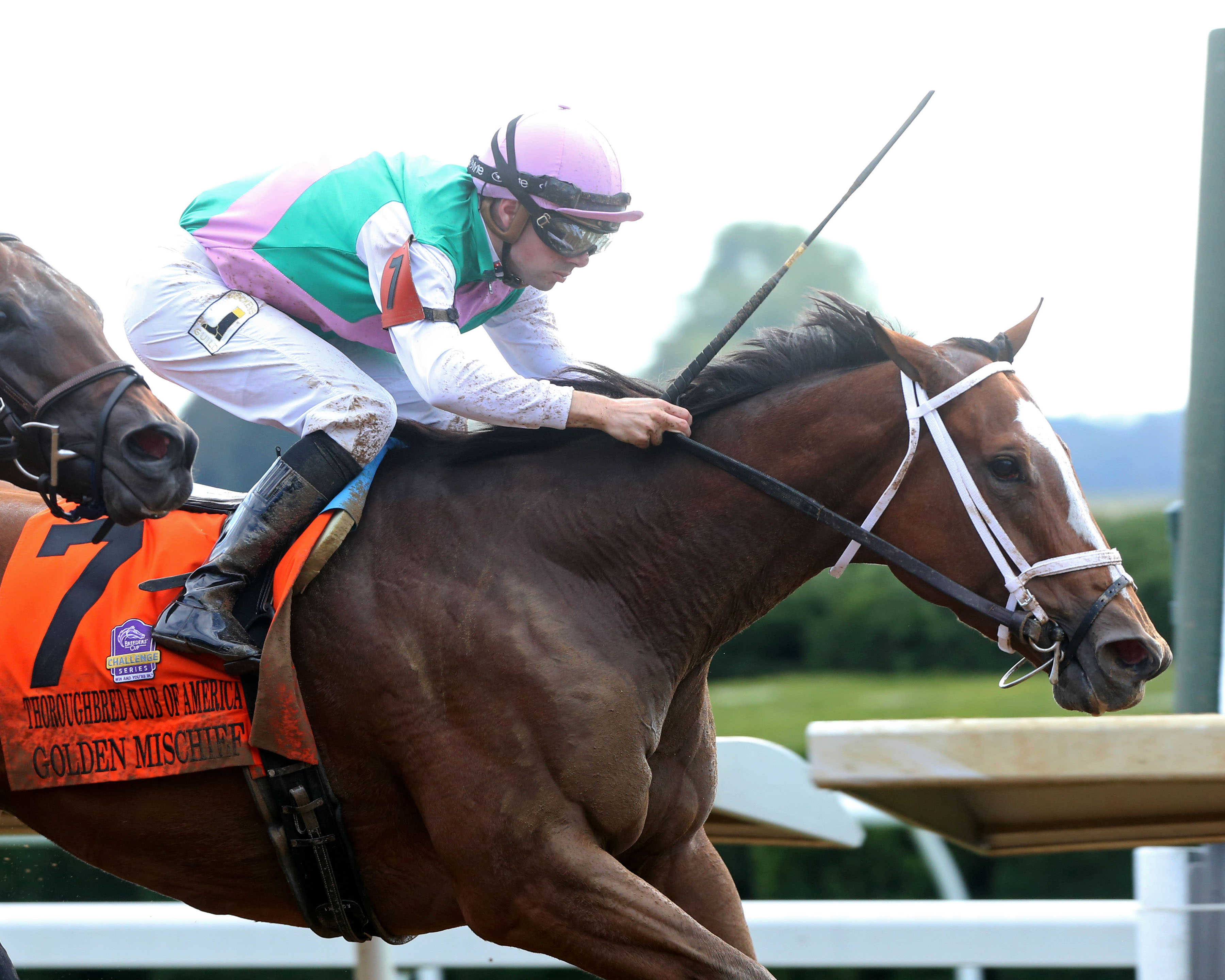 Golden Mischief wins the 2018 Thoroughbred Club of America Stakes
