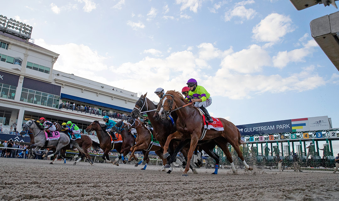 Gulfstream Park racing
