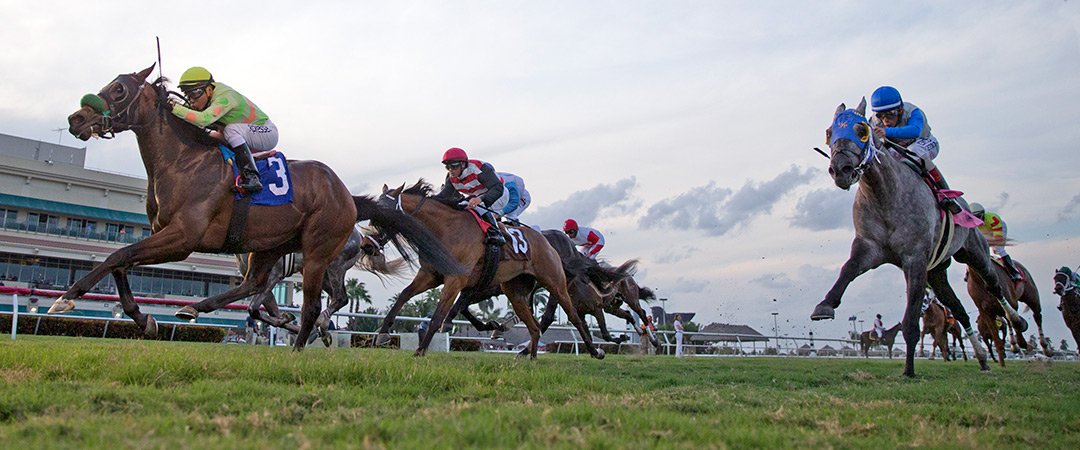 Gulfstream Park turf racing