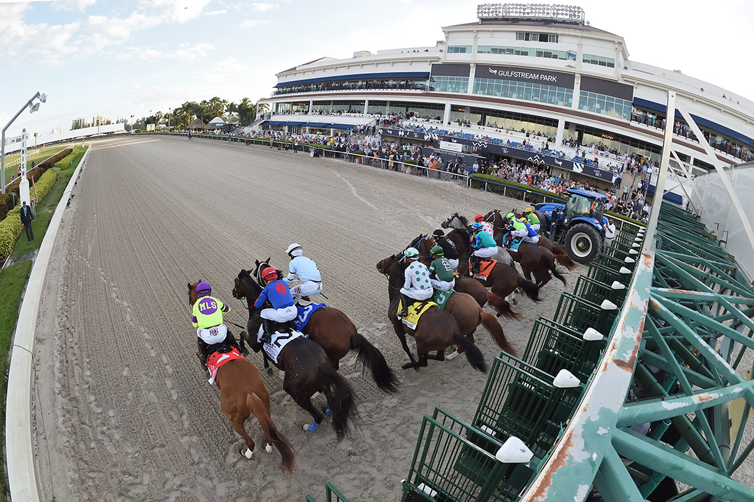 Gulfstream Park racing 2021