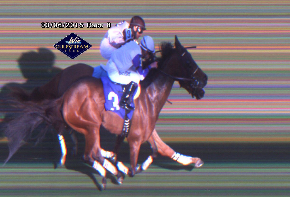 Gulfstream photo finish March 6 race 8