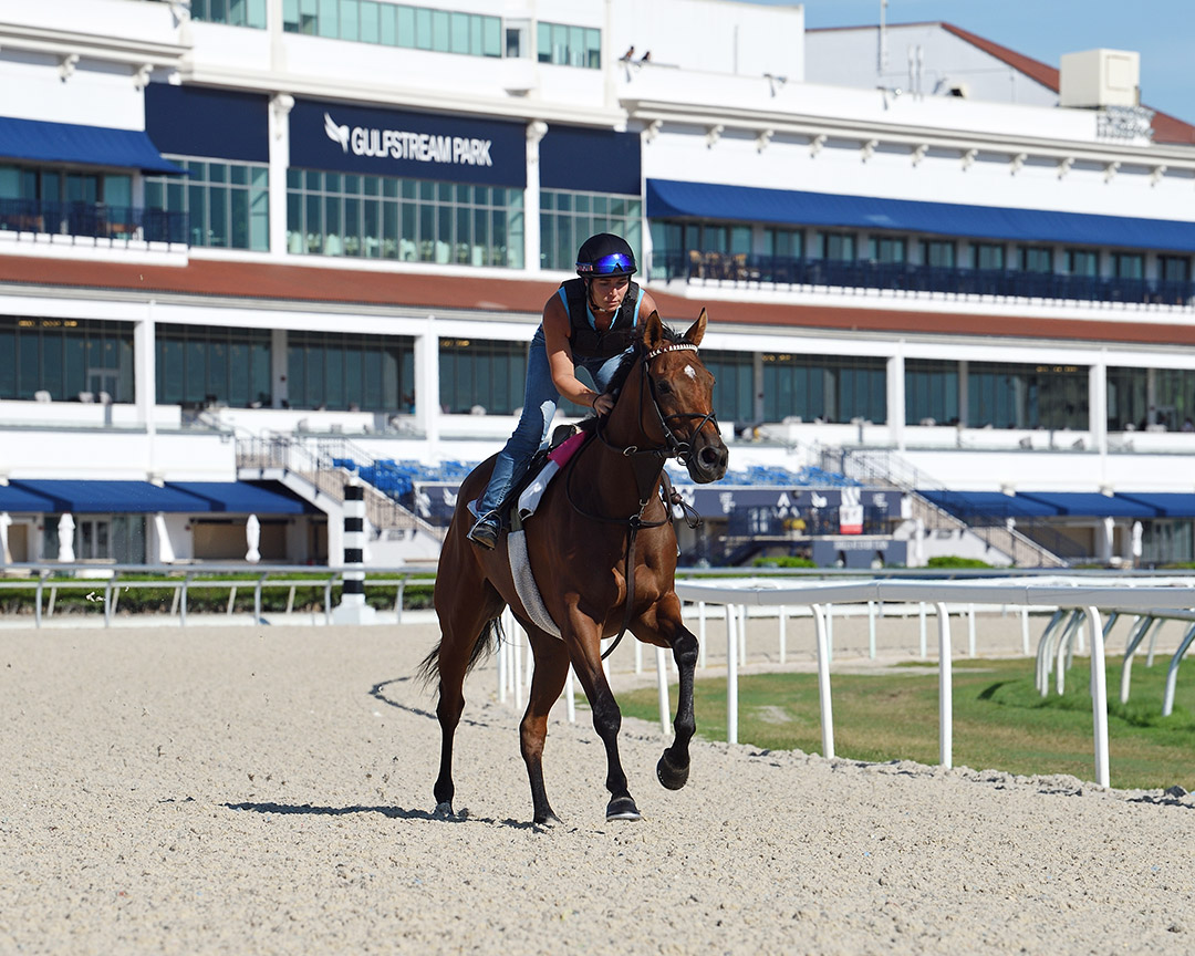 Training on Gulfstream Tapeta surface, Sept. 24, 2021