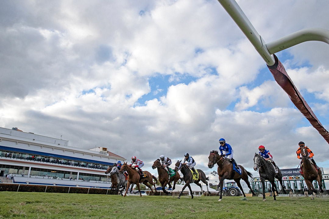 Gulfstream Park turf racing, 2021