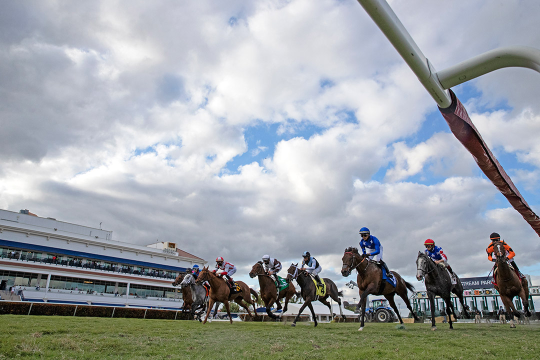 Gulfstream Park turf racing, 2021