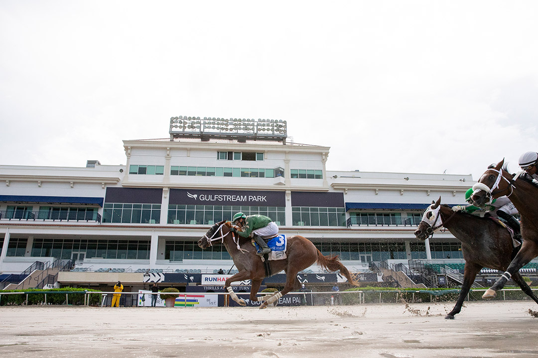 Gulfstream Park racing August 2020