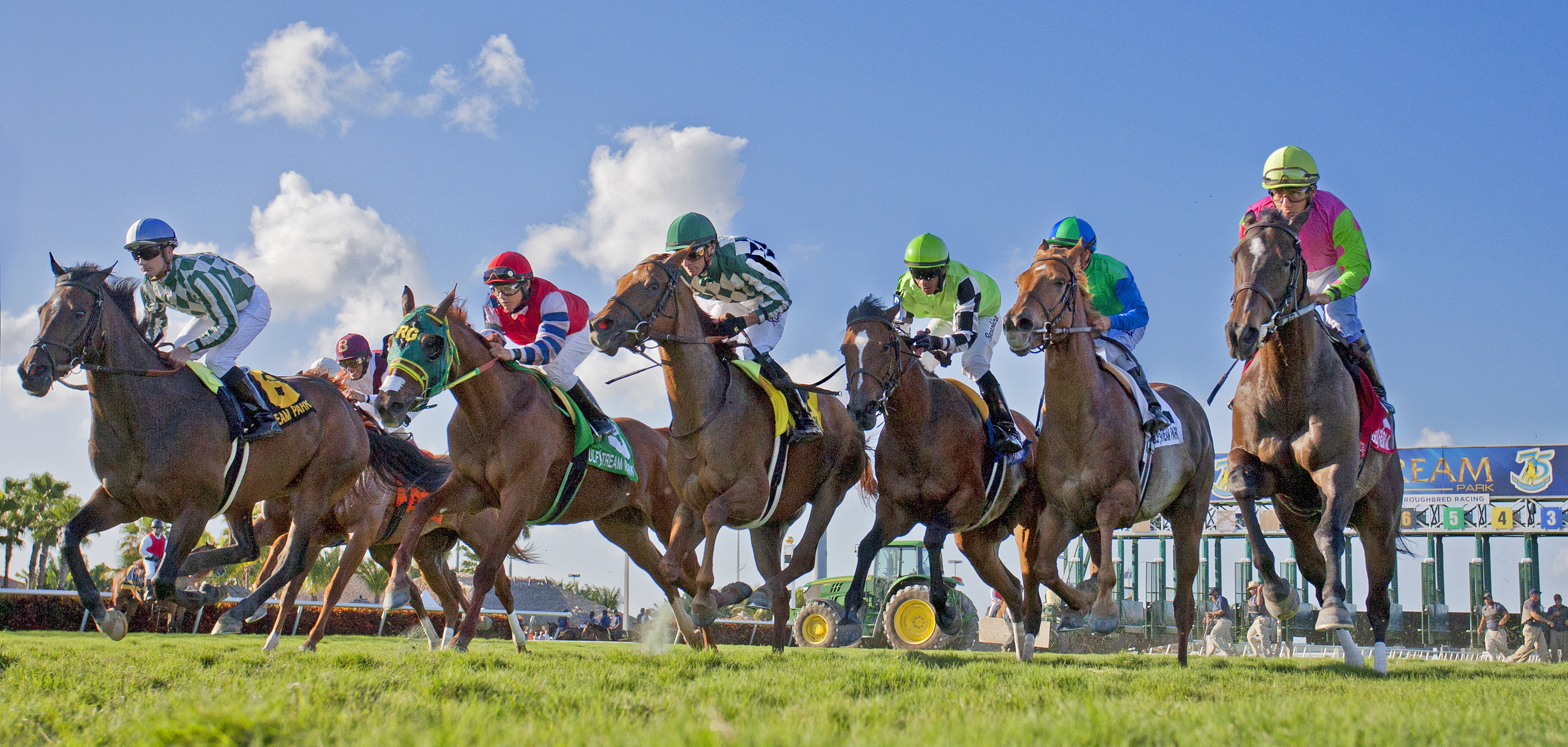 Gulfstream fields