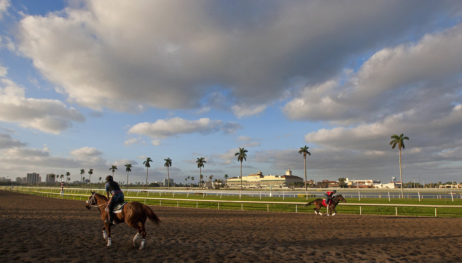 Gulfstream Park scenic