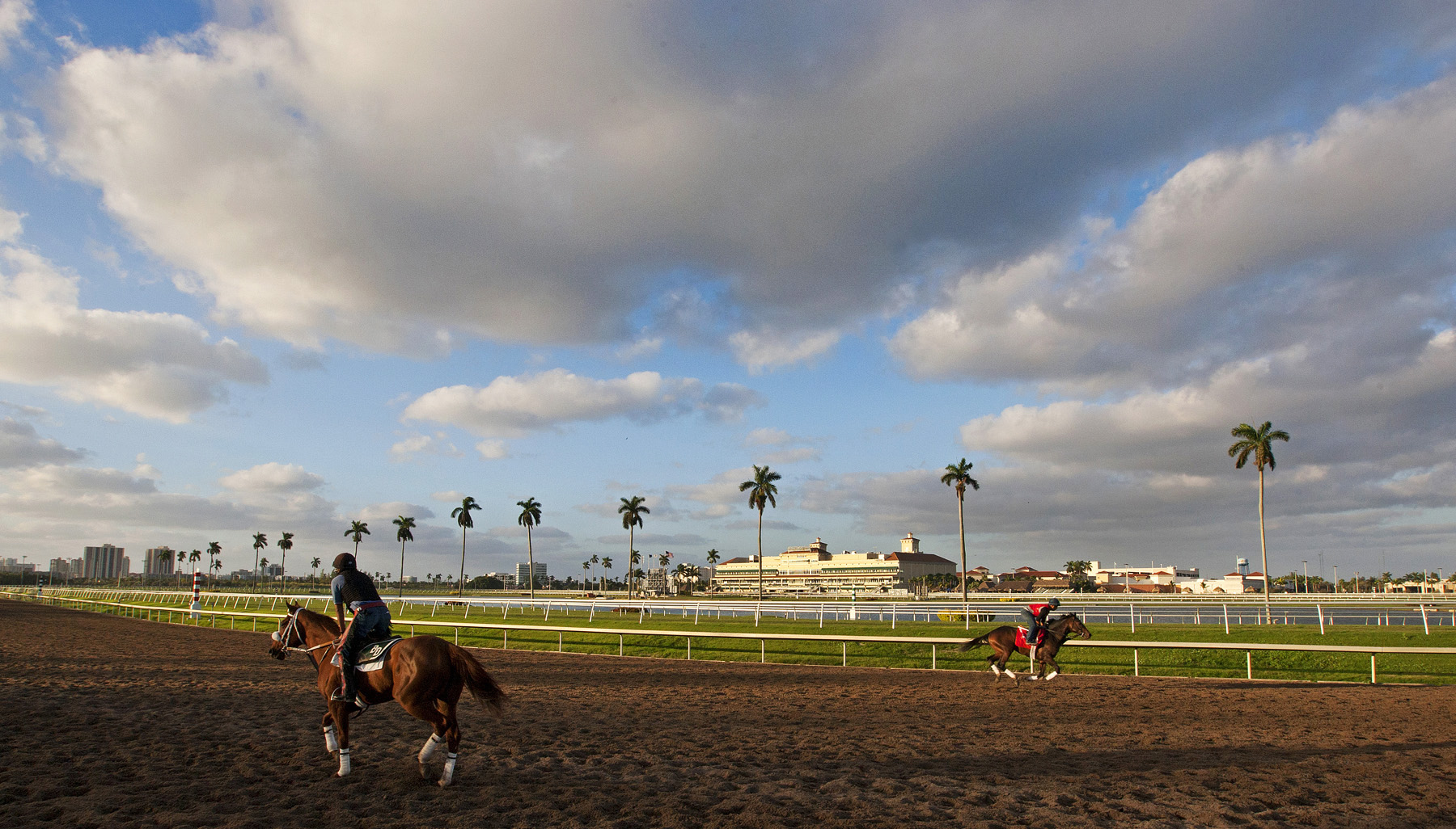 Horses train at Gulfstream Park