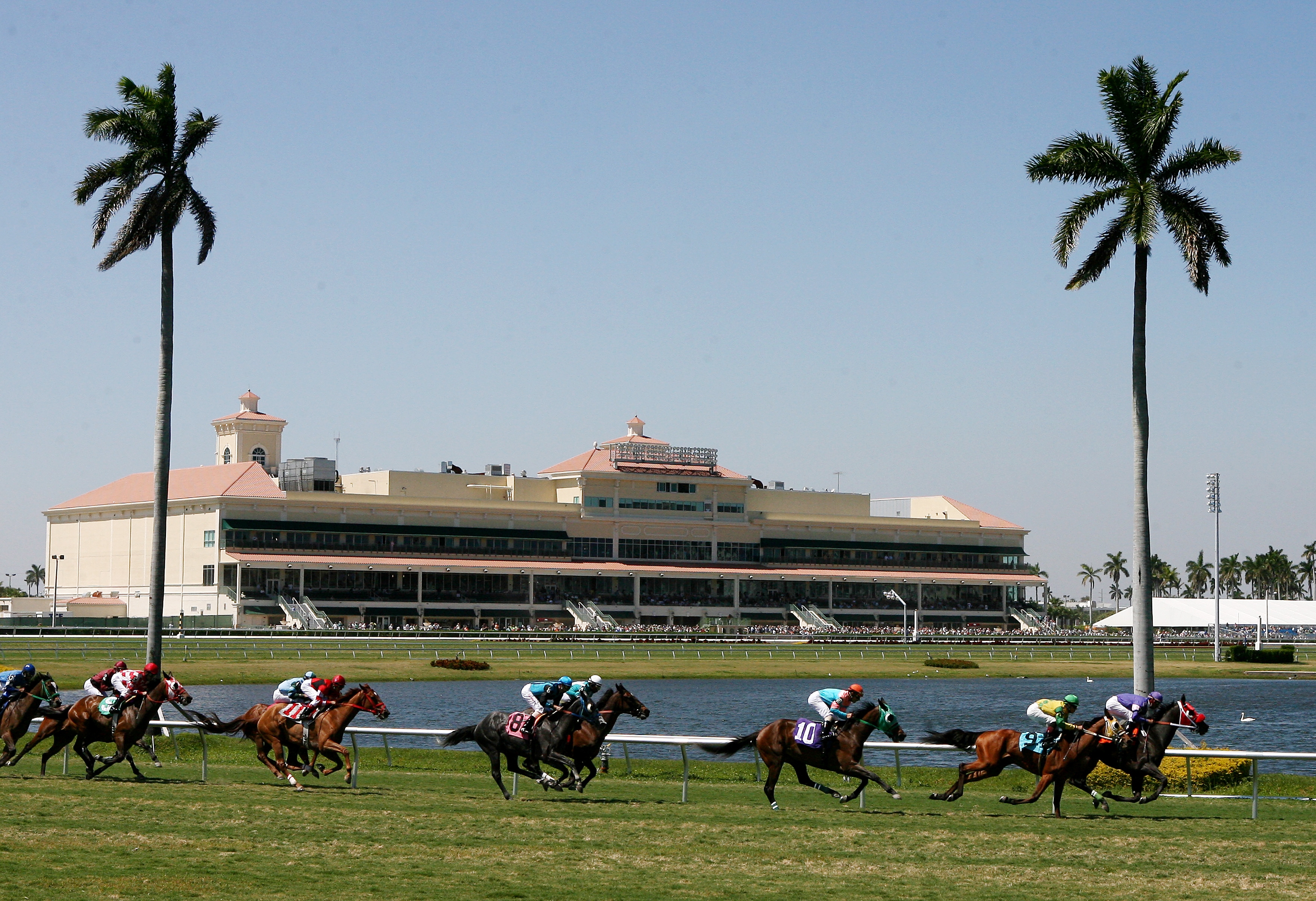 Gulfstream Park turf course