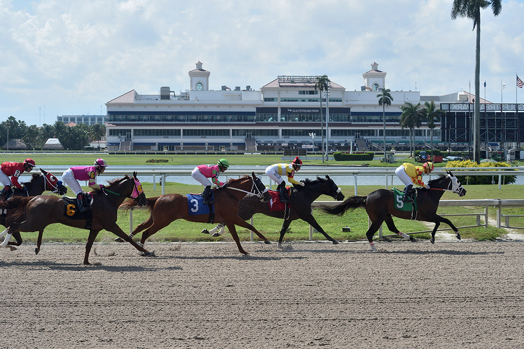 Gulfstream Park racing September 2020