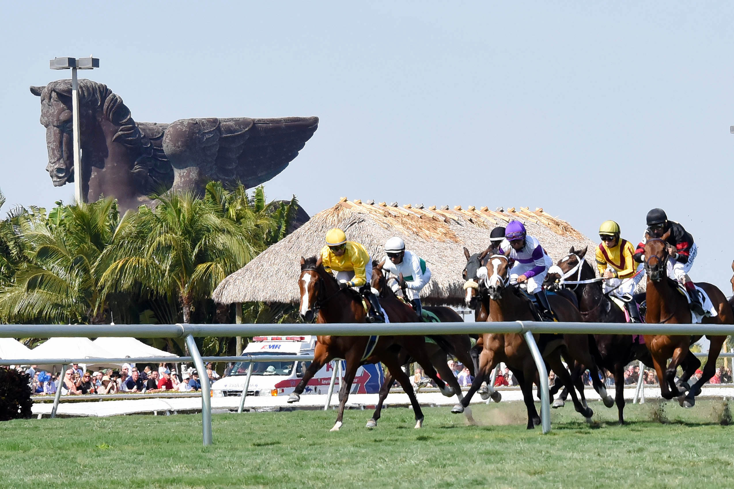 Turf racing at Gulfstream