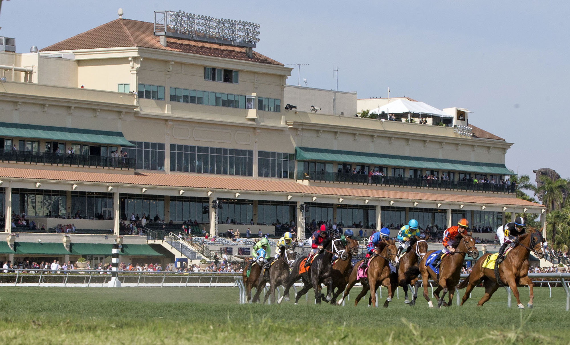 Turf racing at Gulfstream